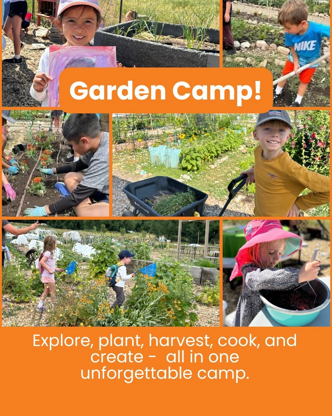 Give your kids a reason to unplug and be immersed in nature. Campers will explore, plant, harvest, cook, and create - all in one unforgettable camp. Spots are filling up fast so register now! We have the most availability in the following camps: Regi