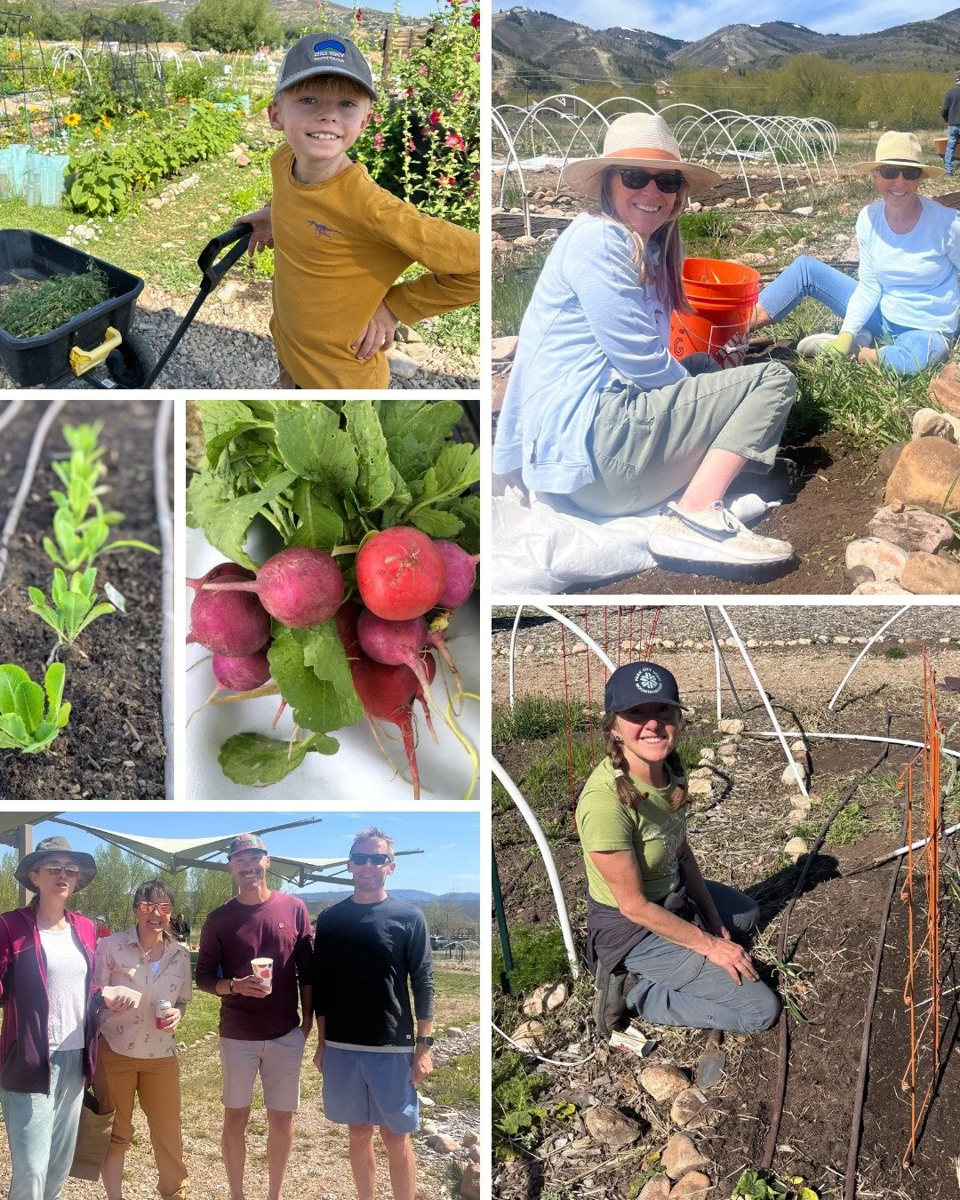 What a beautiful day for our garden opening celebration! New plot holders joined neighbors to welcome the 2026 season. The Community Garden is open to everyone -- so drop in for a stroll around the space, grab a treat from the snacking garden, and en