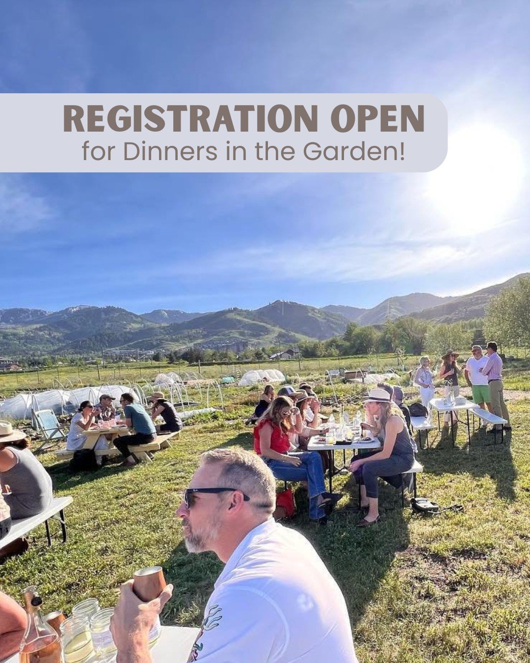 Your table is ready! Our beloved Dinners in the Garden are back with an outstanding lineup of restaurant partners. Register now to enjoy incredible food, views, and vibes in the Community Garden. Register at link in bio.

June 25th: Dinner in the Gar
