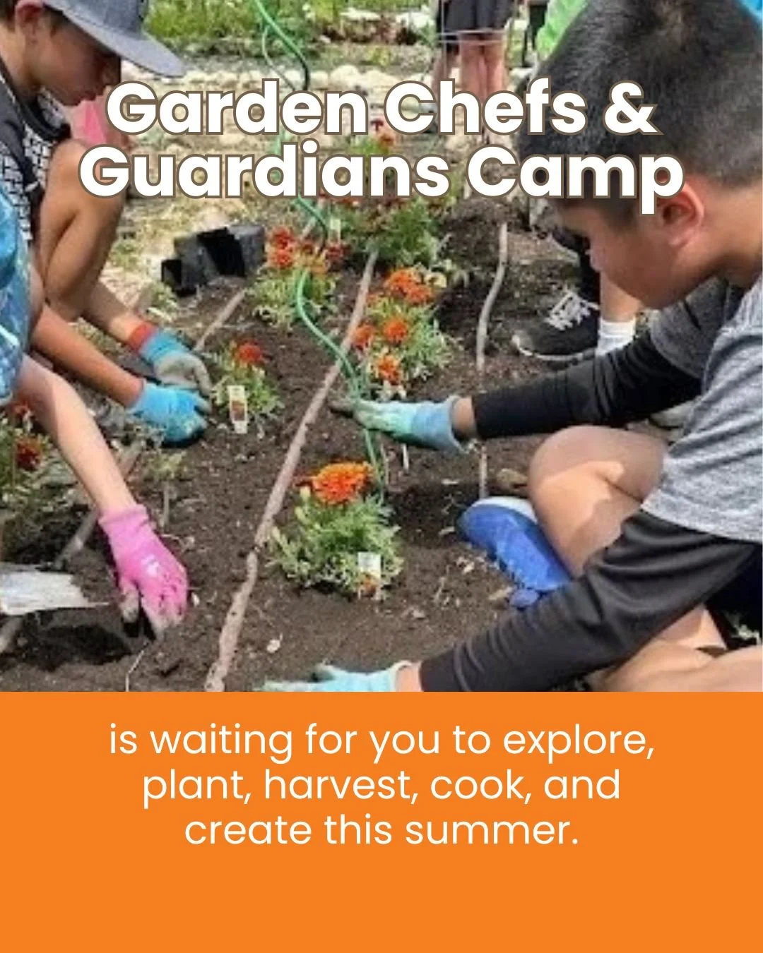 🧑&zwj;🌾 Garden Chefs &amp; Guardians is perfect for curious kids ready to get their hands dirty caring for the garden and quickly wash up to become garden-to-table chefs cooking kid-friendly garden fresh recipes. Register at the link in our bio. Sc