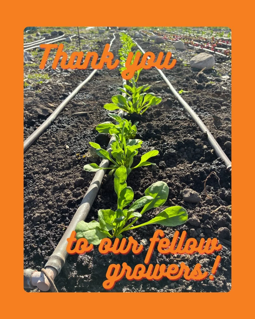 It takes a community to plant a garden! 🪏 

We want to give a shoutout to @wasatchcommunitygardens and @redbuttegarden for donating extra plants from their spring plants to us, for use in our Demonstration Garden! 🌱

We&rsquo;re also extending a hu