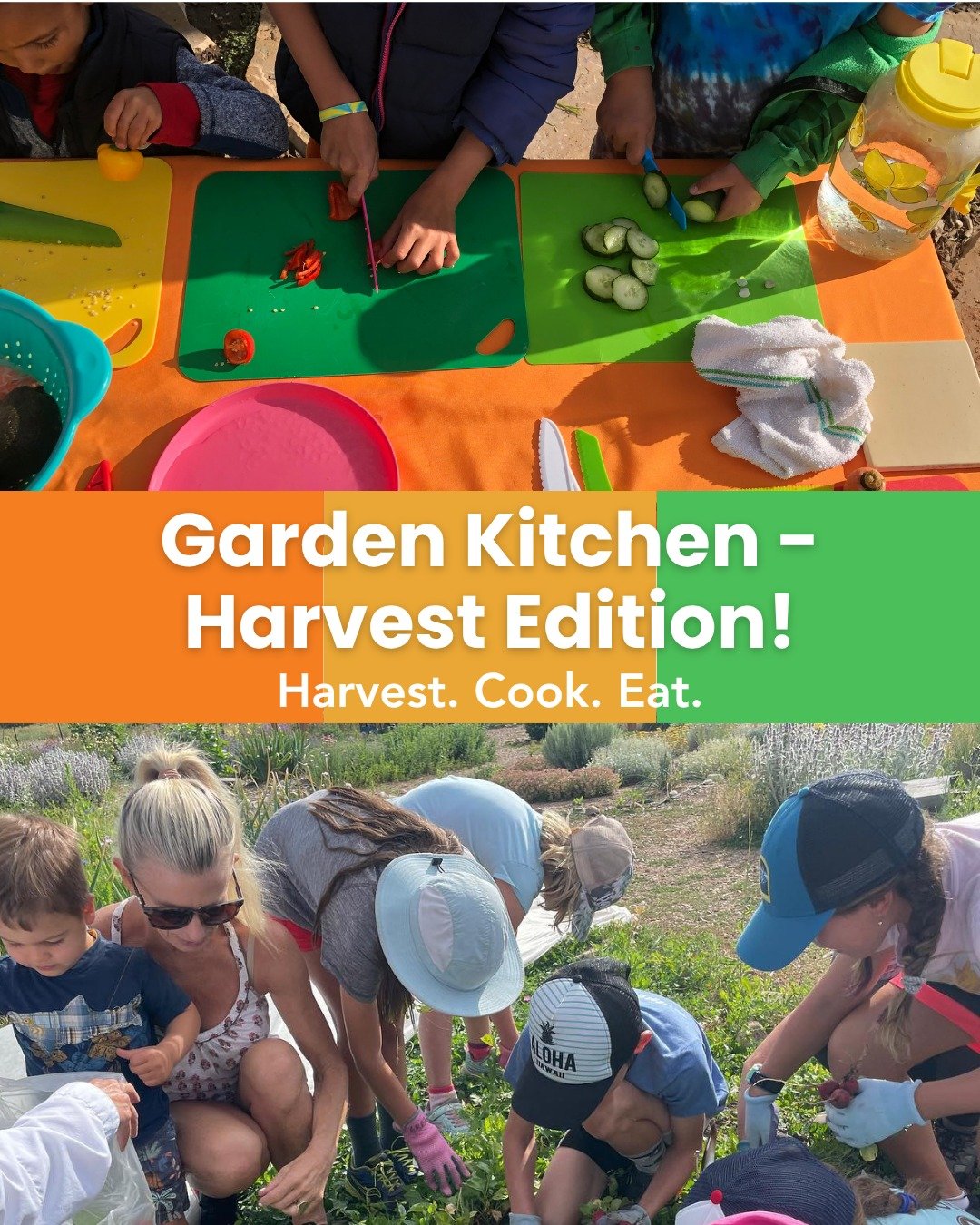 🌱🥕From seed to plate! Our campers are learning to harvest, cook, and eat fresh, healthy food straight from the garden. Sign up for the ultimate garden-to-table experience!

🗓August 3rd to 7th
Garden Kitchen: Harvest Edition Camp

#SummitCommunityG