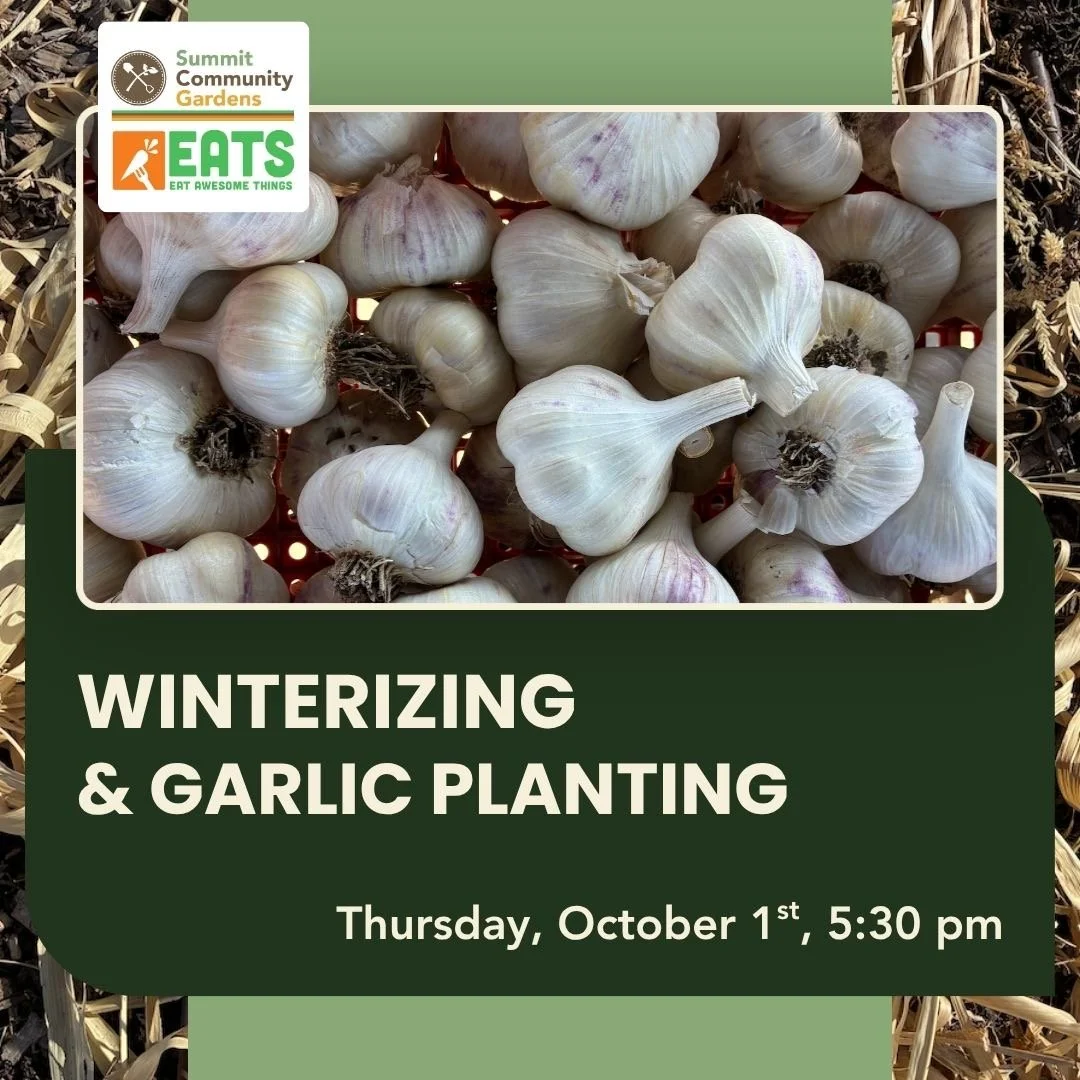 Community Education: Winterizing the Garden & Garlic Planting