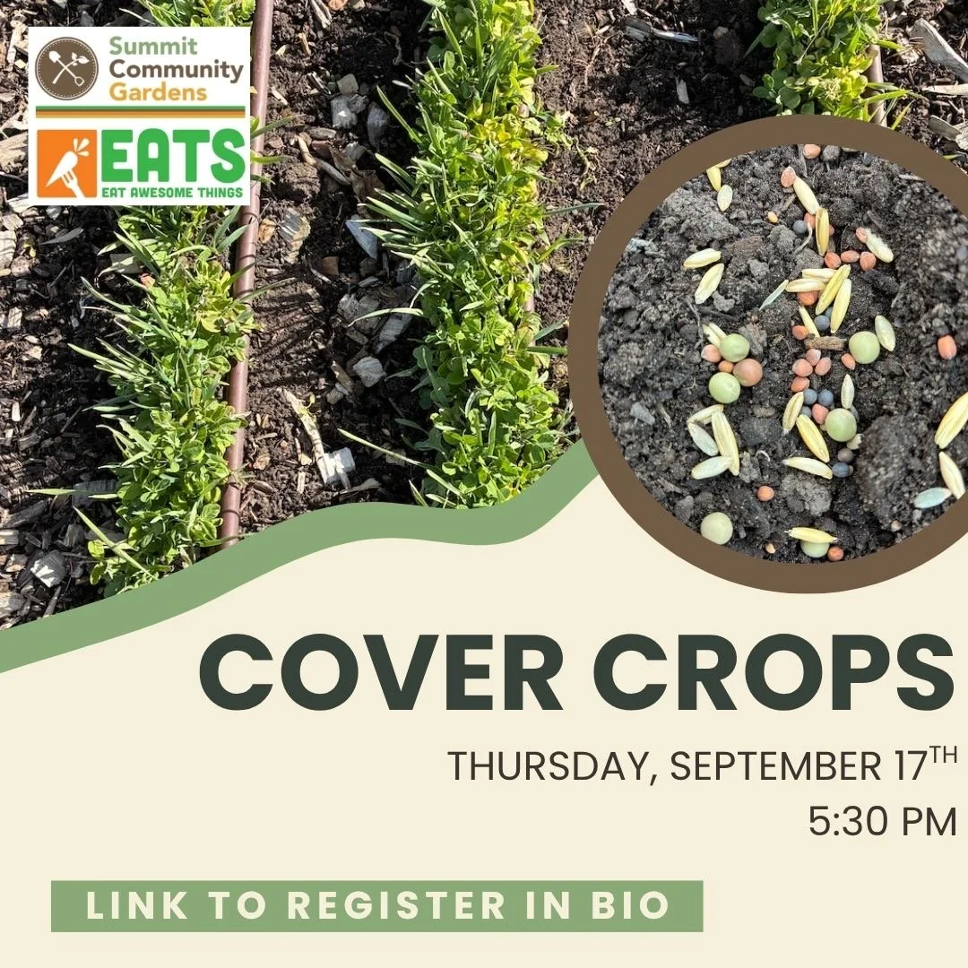 Community Education: Cover Crops
