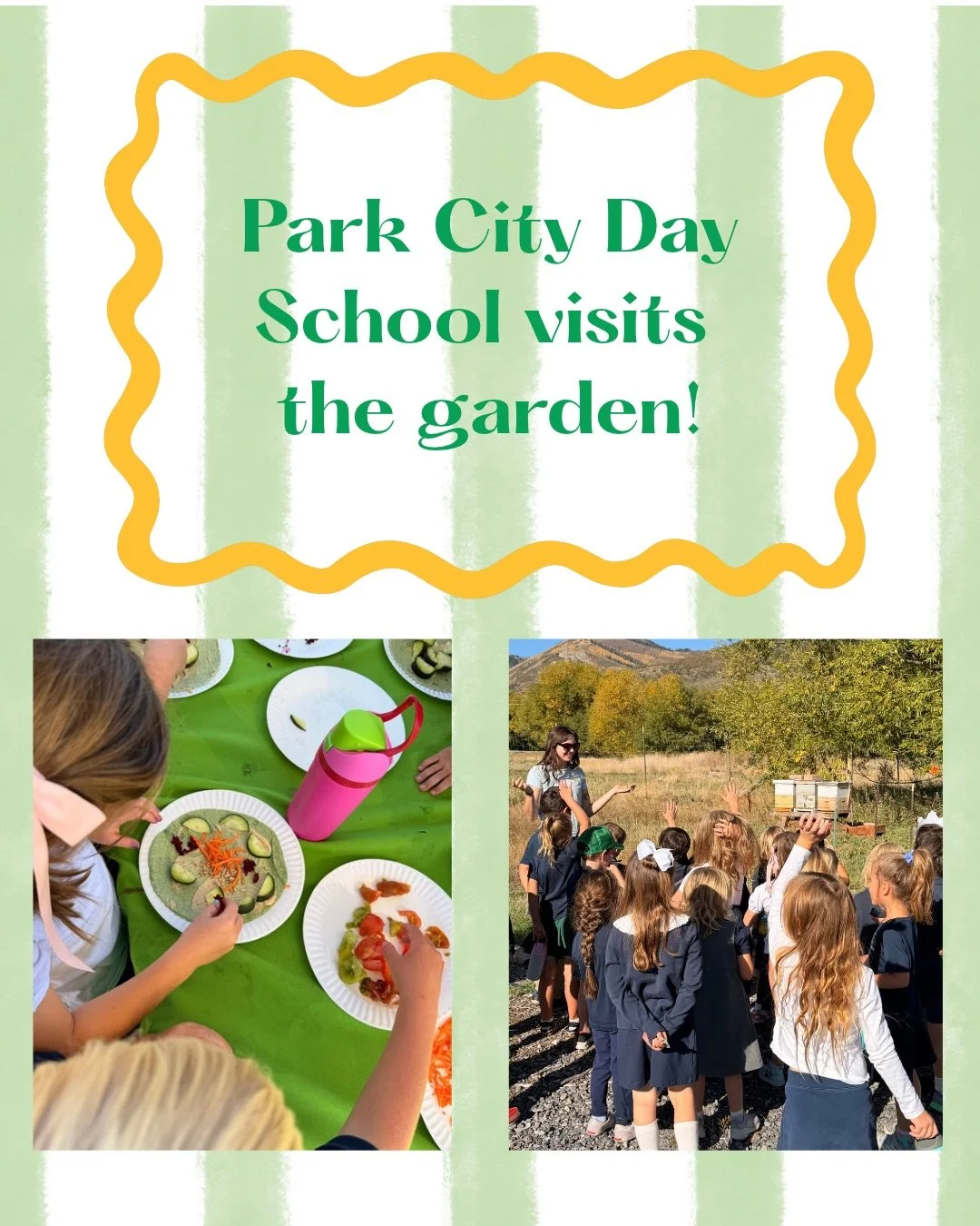 A huge thank you to @pcdayschool for joining us in the Garden this week! 🌱🥕

We had such a fun morning exploring, harvesting, and tasting some of the fresh produce growing right here in our Community Garden.

Students made their own rainbow wraps, 