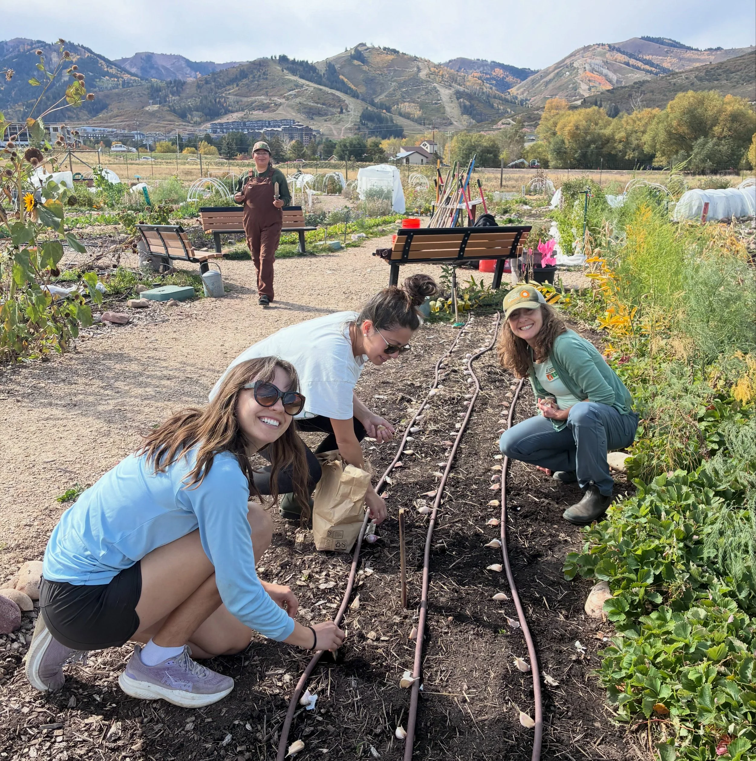 A little teamwork, a lot of garlic! 🧄

Our team spent the day together in the garden planting garlic for next season! This garlic will be harvested next year and shared with Food Farmacy participants, helping bring fresh, locally grown food to our c