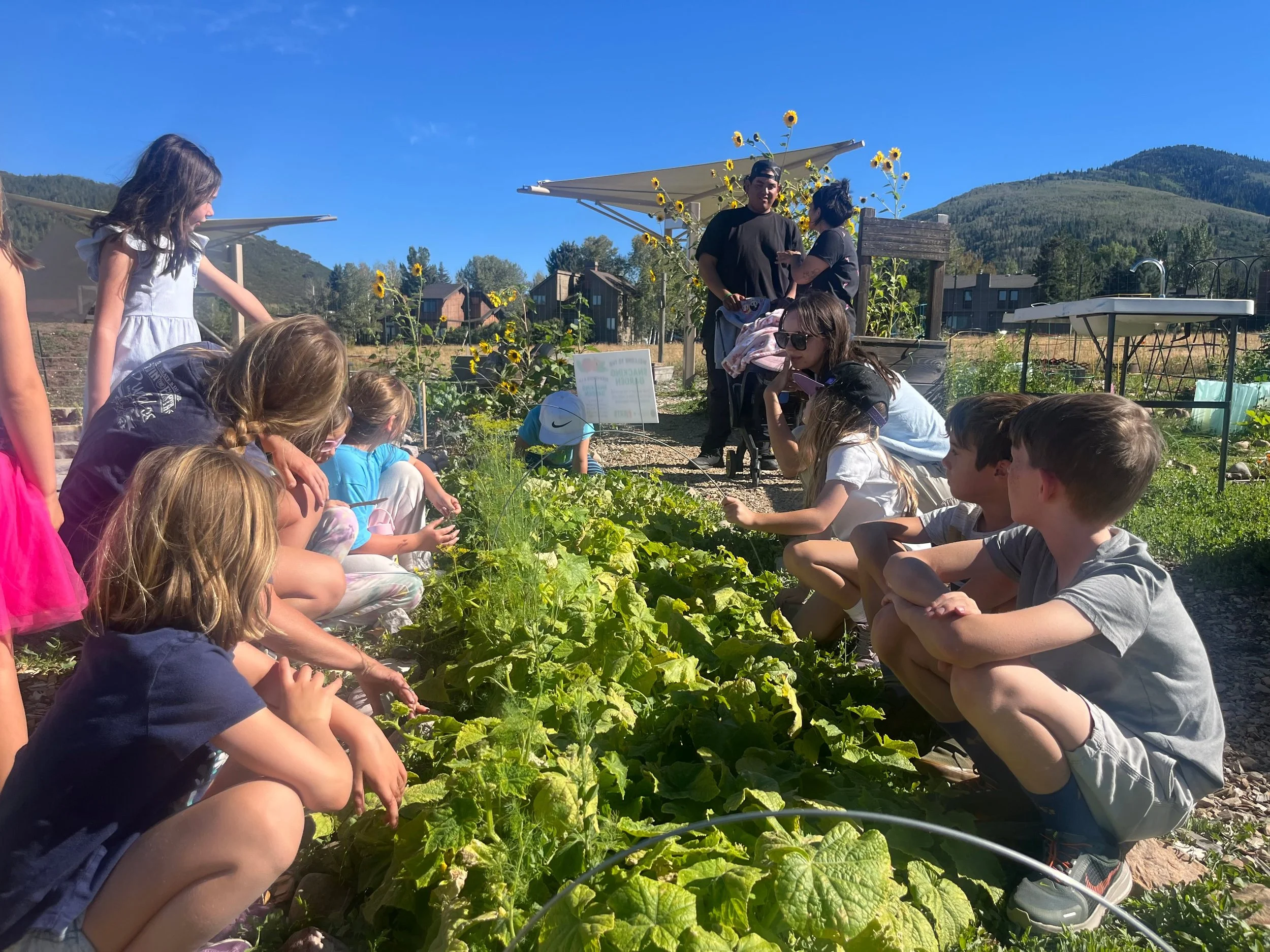 What a wonderful fall season of Garden Club! 🌻🍅🥒🍠

Over four fun-filled afternoons, our young gardeners harvested and tasted seasonal produce, created delicious snacks, and learned all about tomatoes, cucumbers, sunflowers, and sweet potatoes thr
