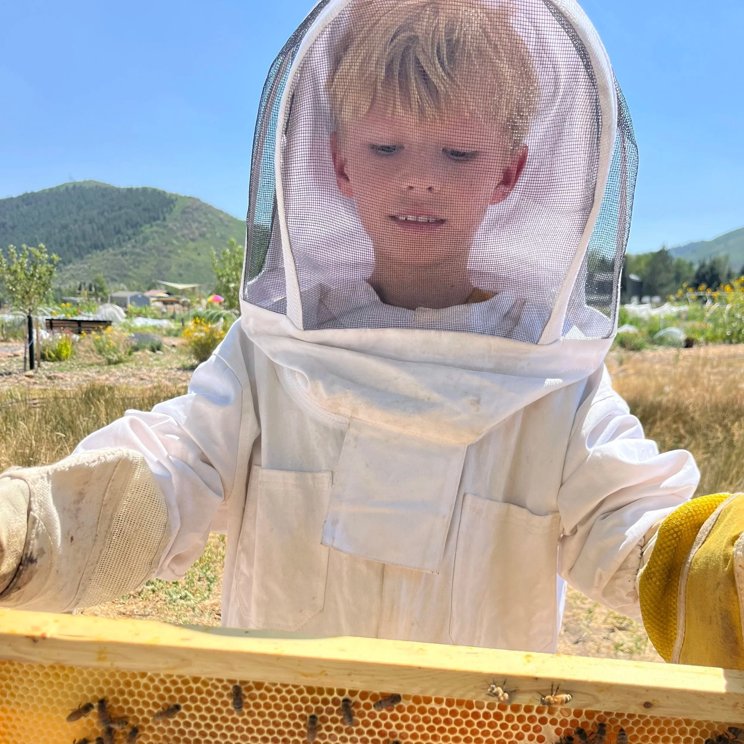 Critter Friends Camp 