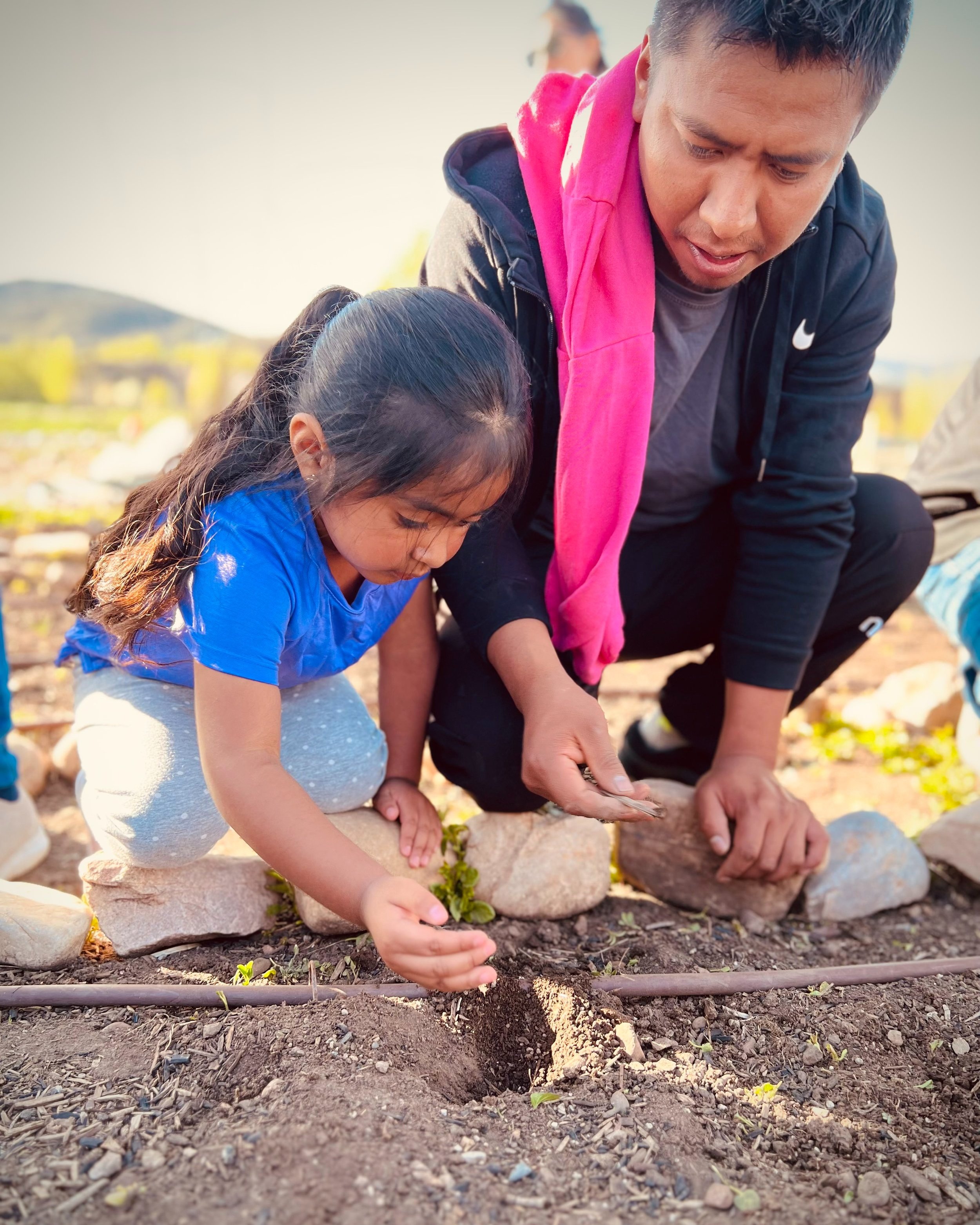 Pre-K Digging & Discovering