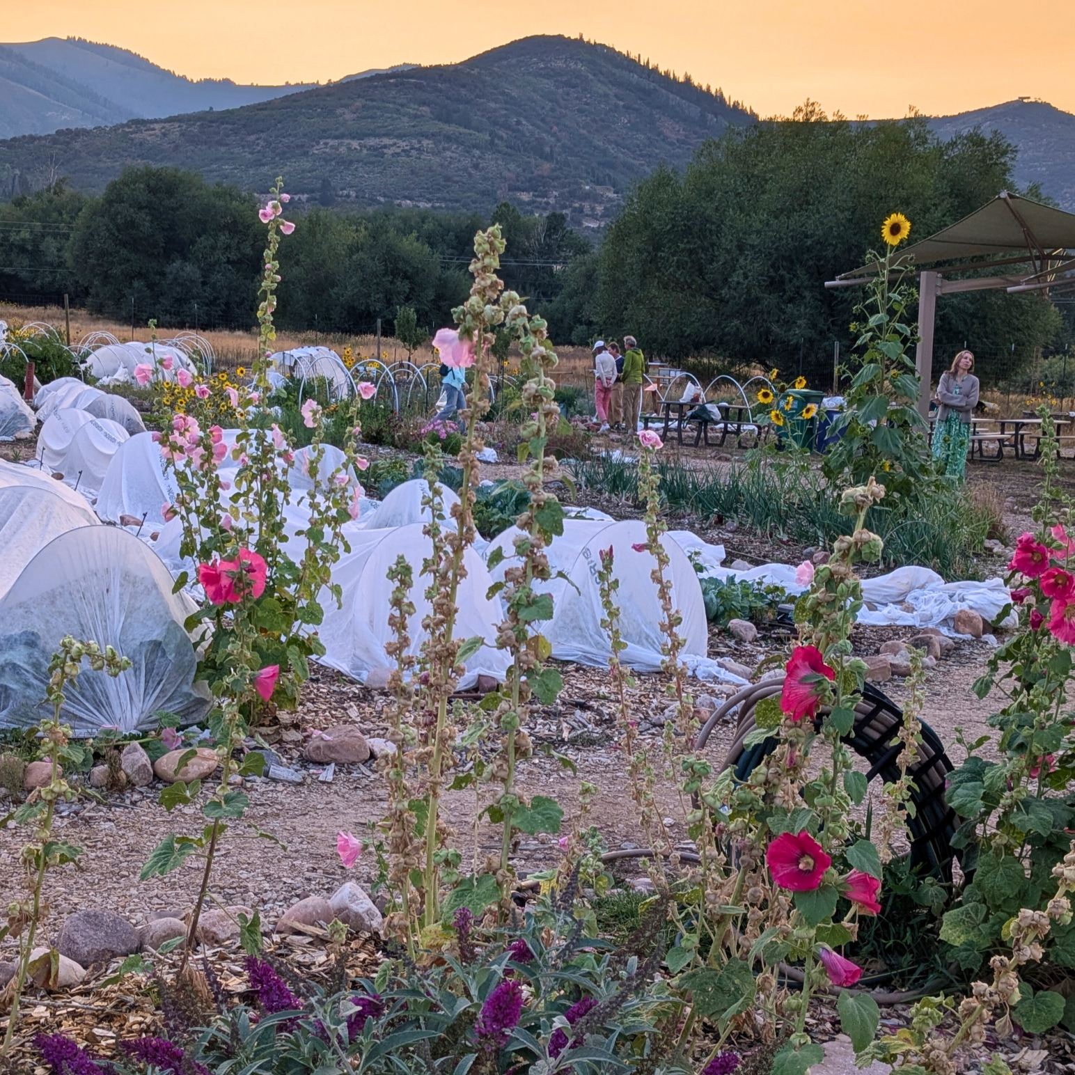 Intro to High Altitude Gardening Part II