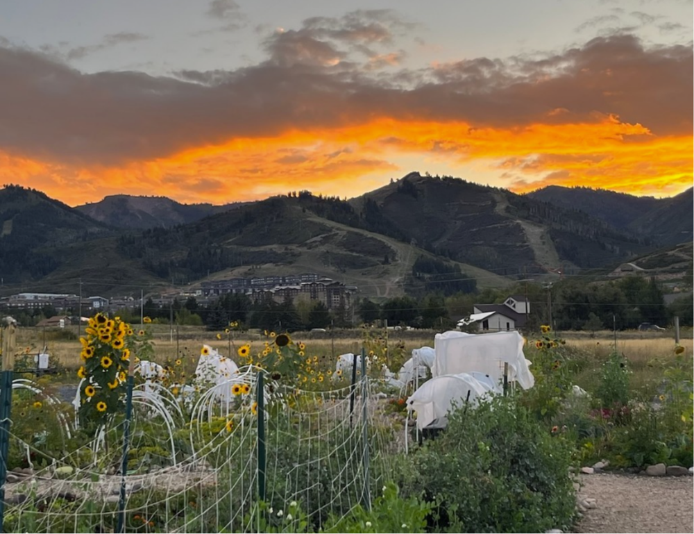 Sunset over Summit Community Gardens