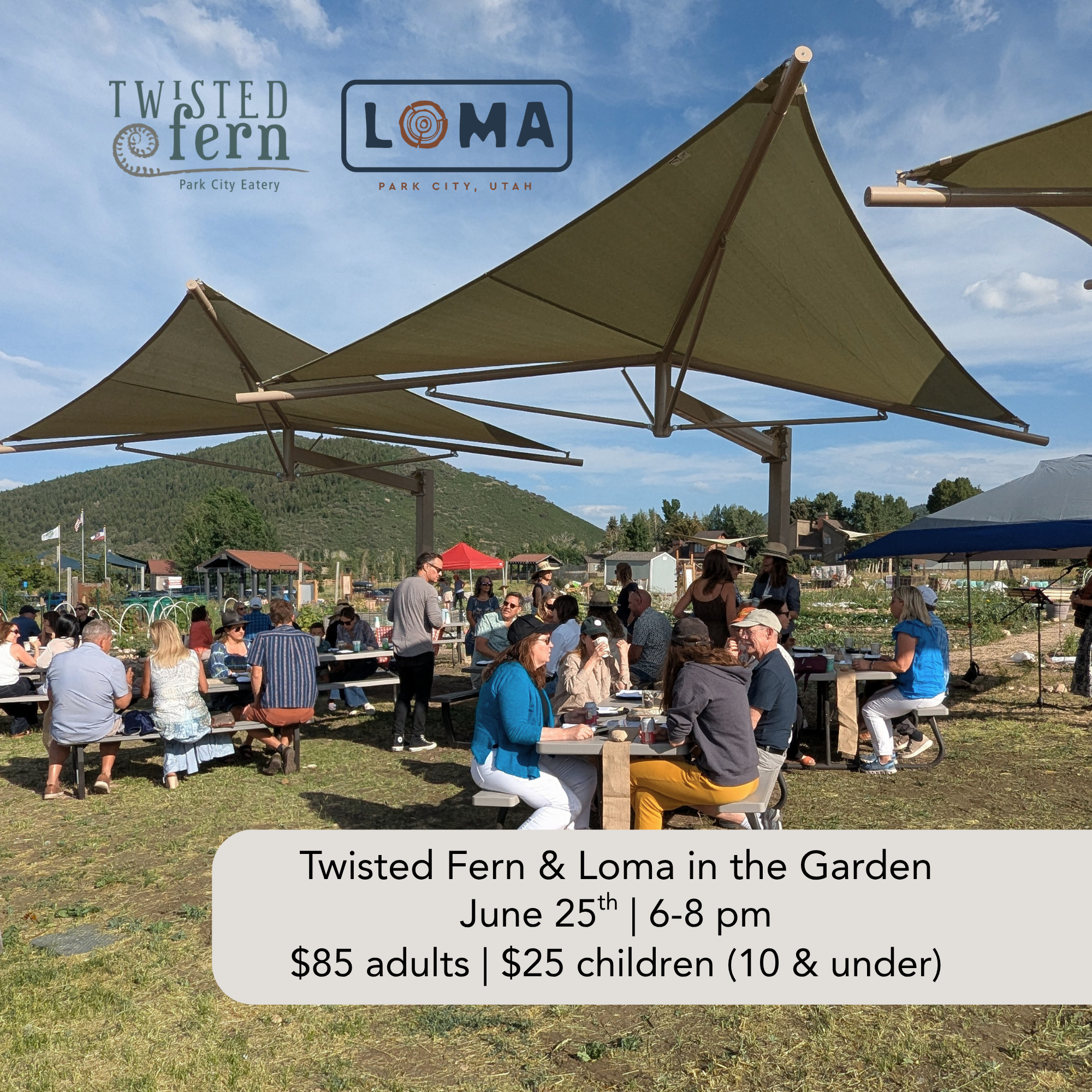 Twisted Fern and Loma 2026 (2).png