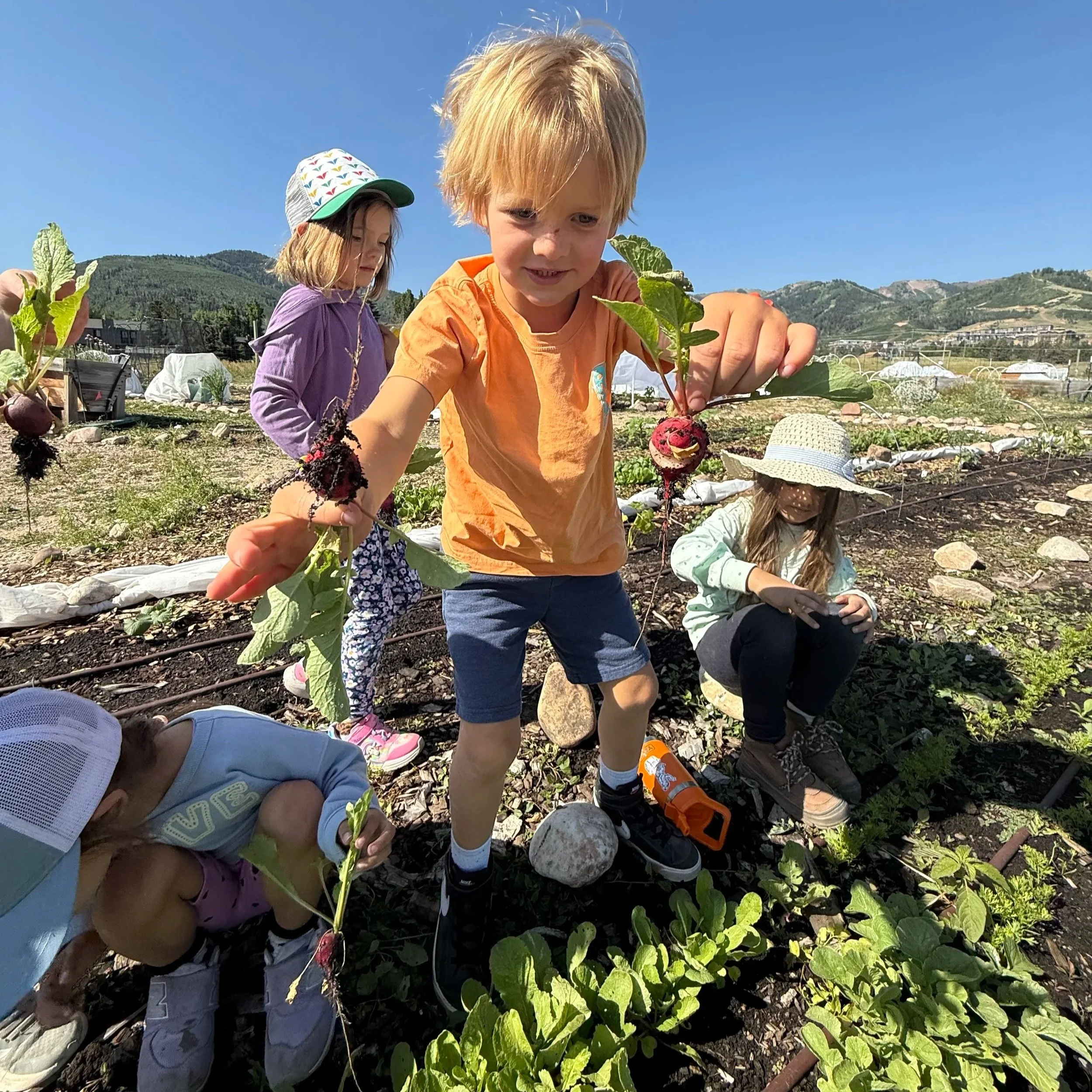 Mystery Garden Camp Preschool