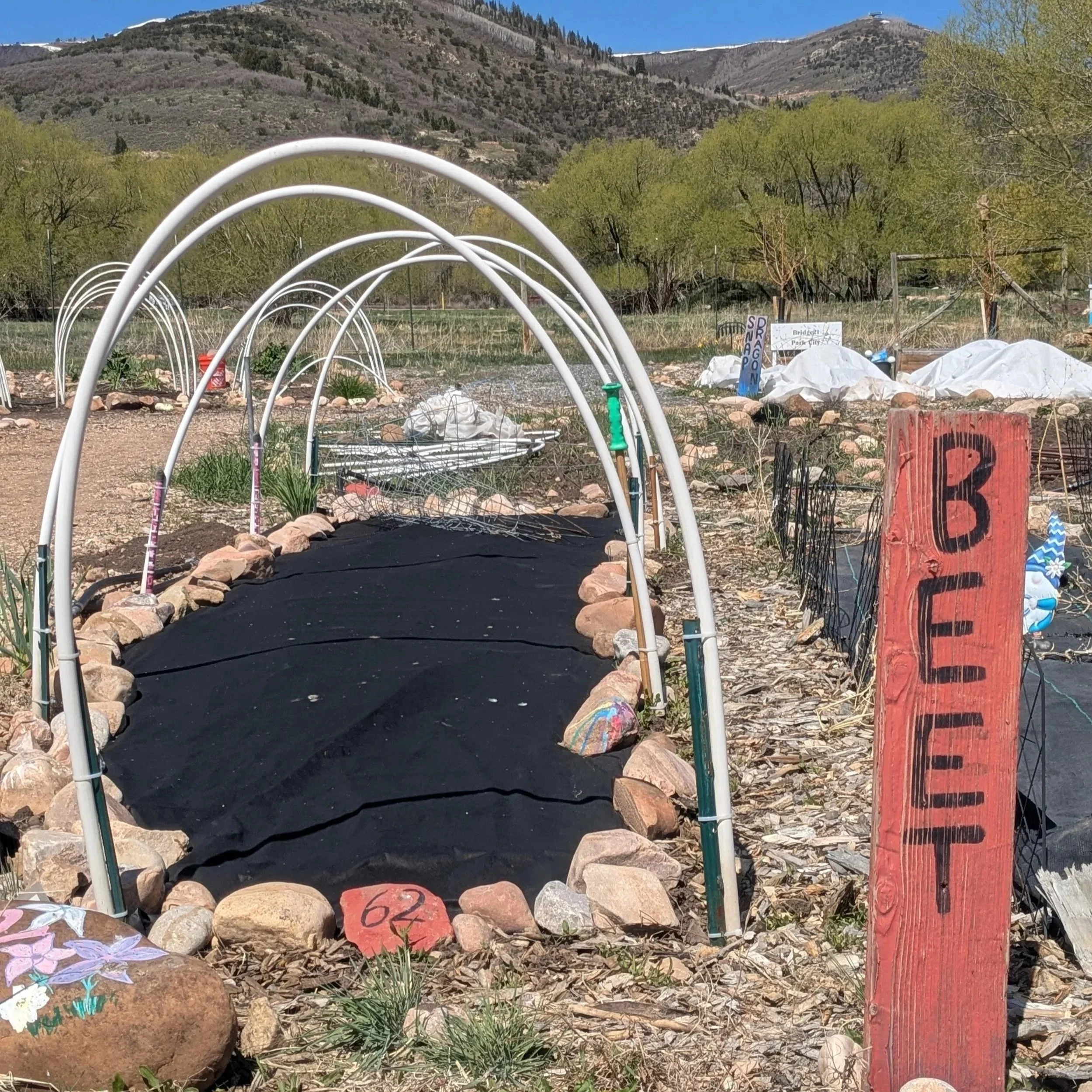 Sponsor a Plot for a Neighbor