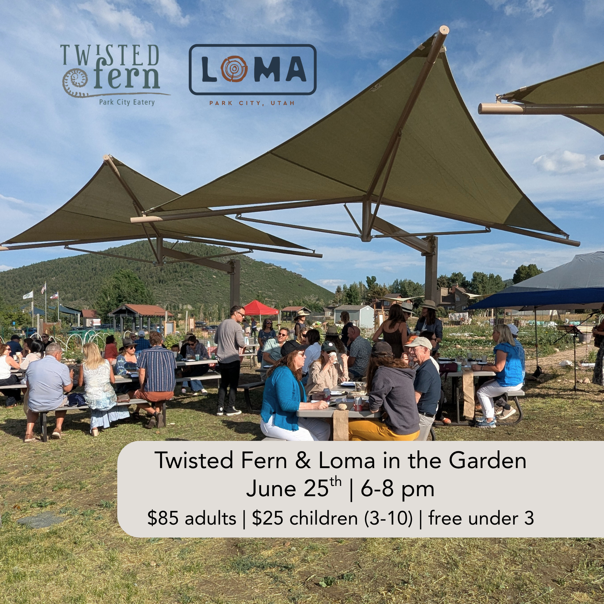 Twisted Fern & Loma in the Garden