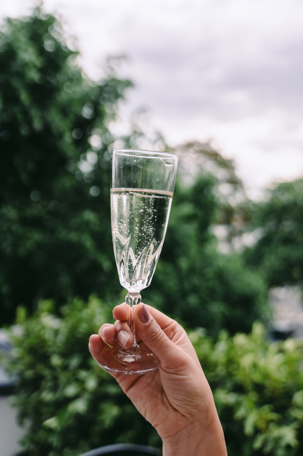 A raised glass in the garden