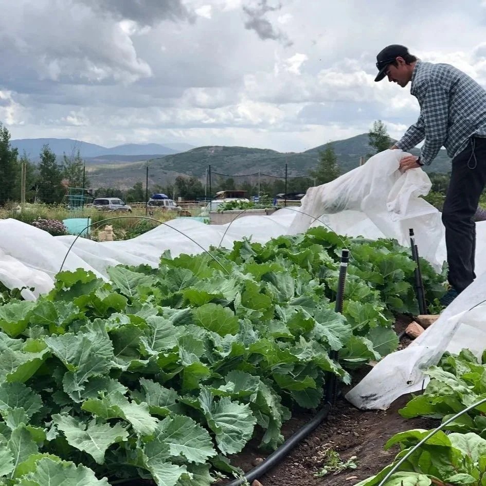 Season Extension Kit