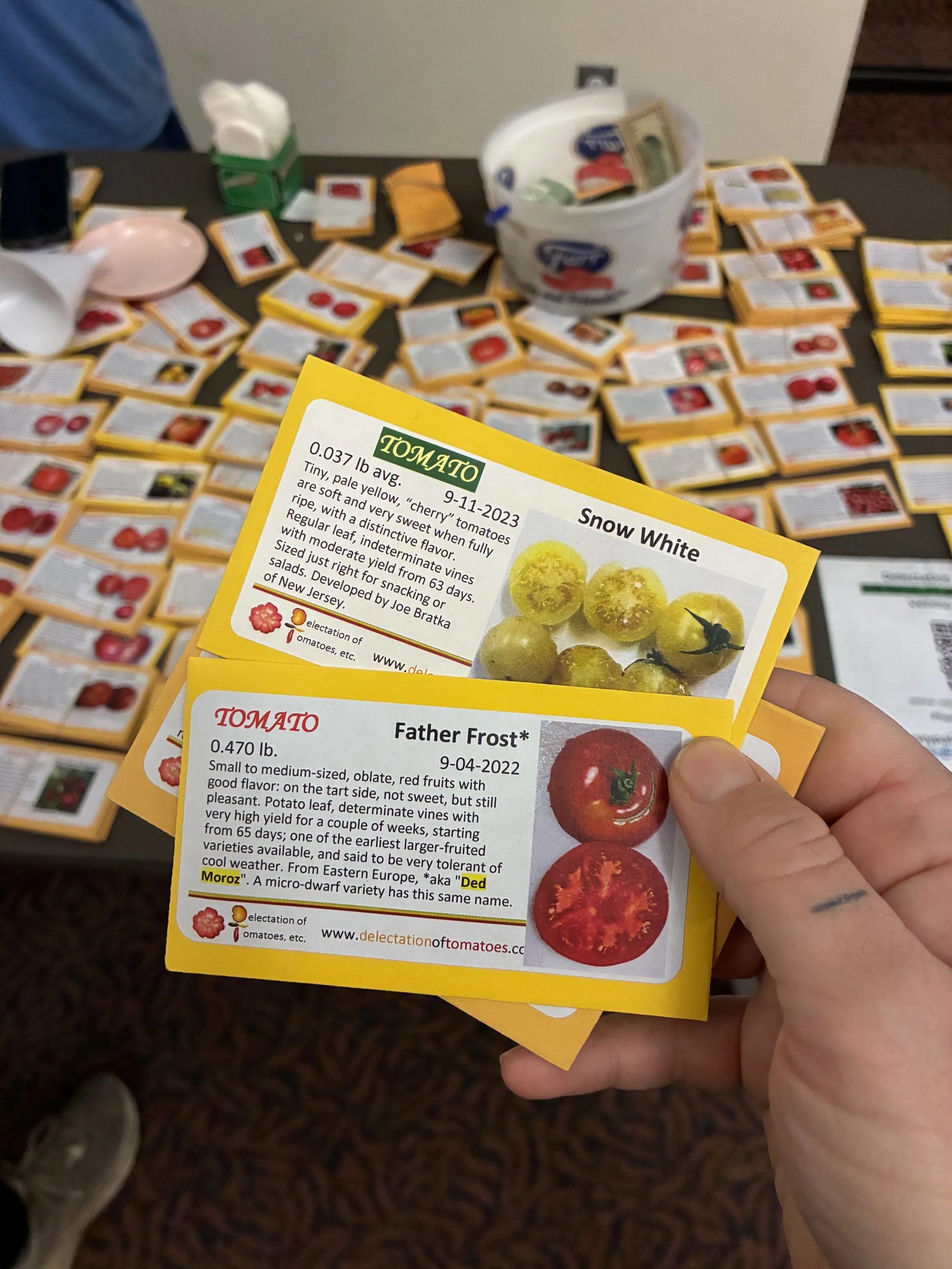 tomato seeds on table.jpg