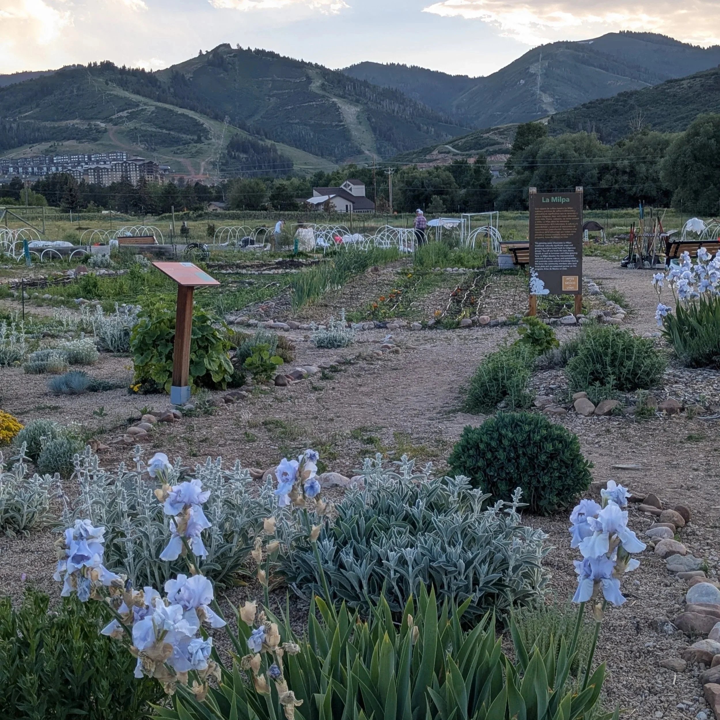 jardín%2B-%2Bvista%2B-%2Bdel%2B%2Bfrente.jpg