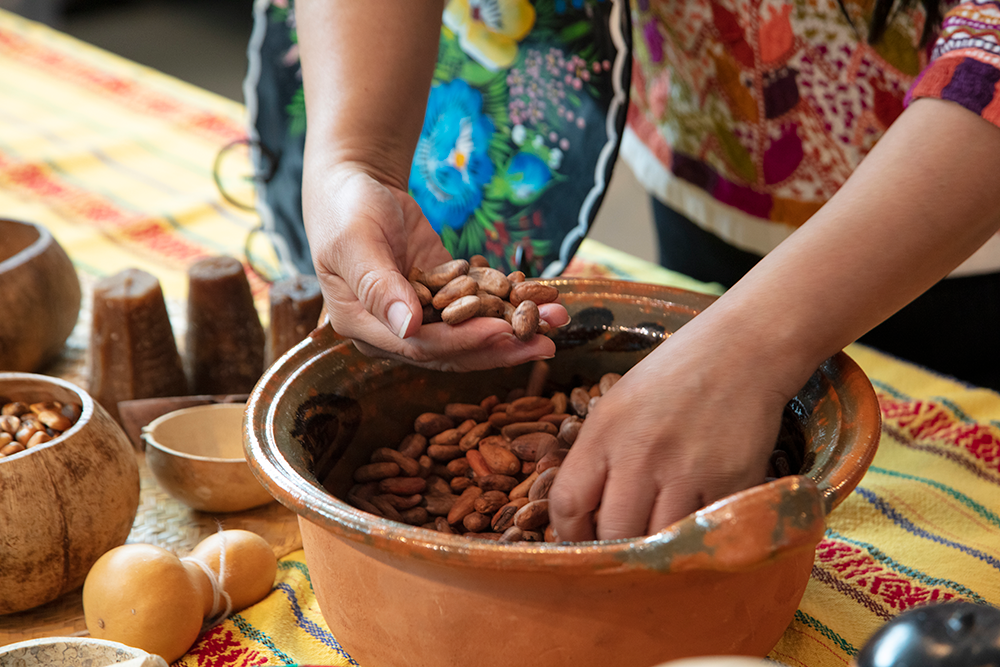 20230401-Community-Convo-Cacao-56.png