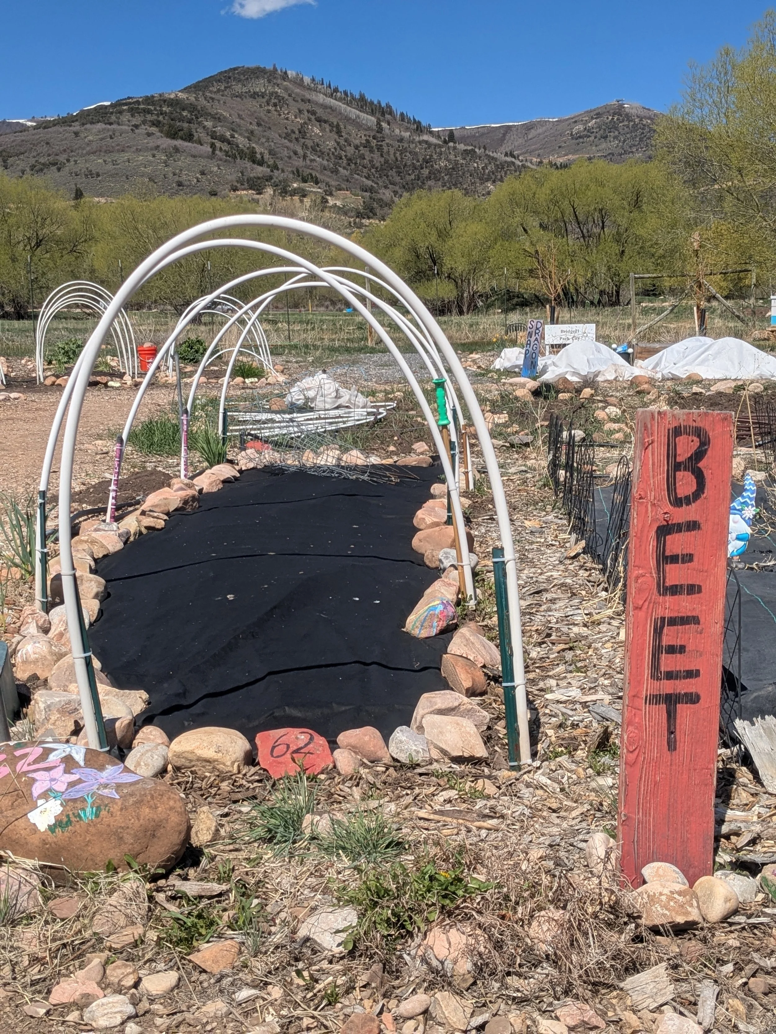 Donate towards a Garden Plot for a Community Member