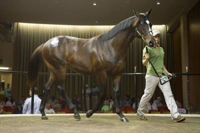 Good Project at the Premier Sale