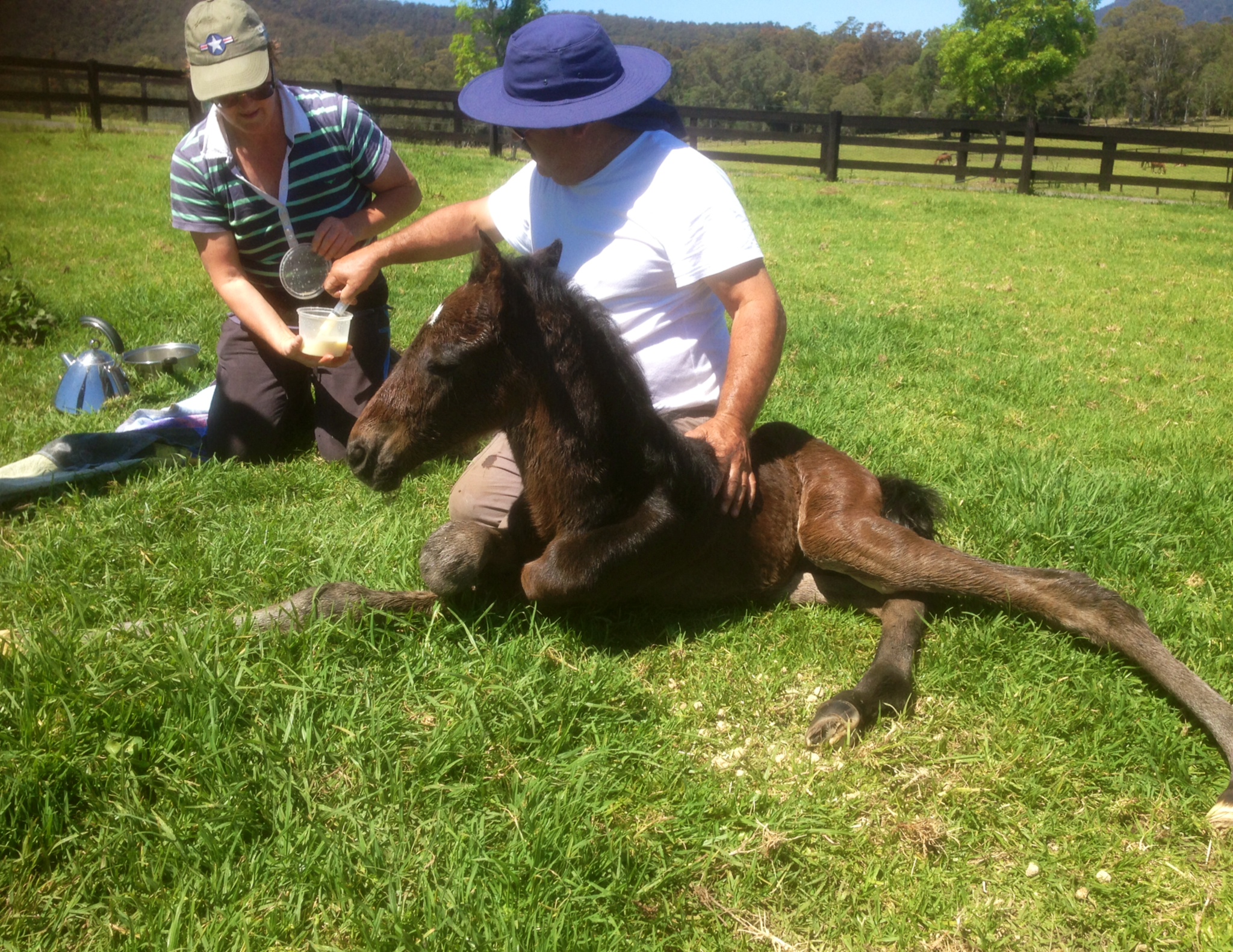 Bart only a few hours old