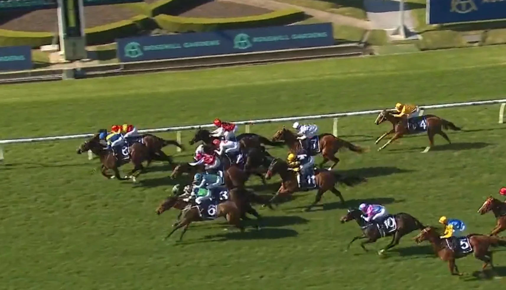 Uzziah wins at Rosehill