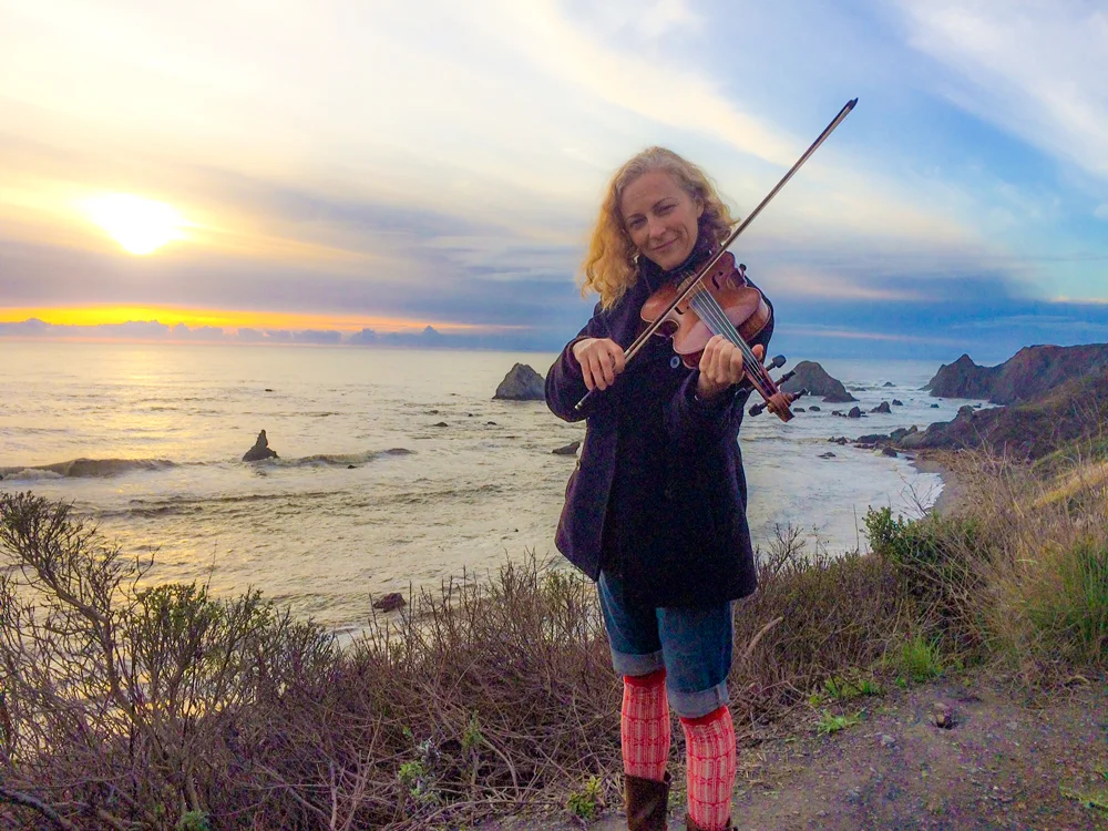 Northern California coast