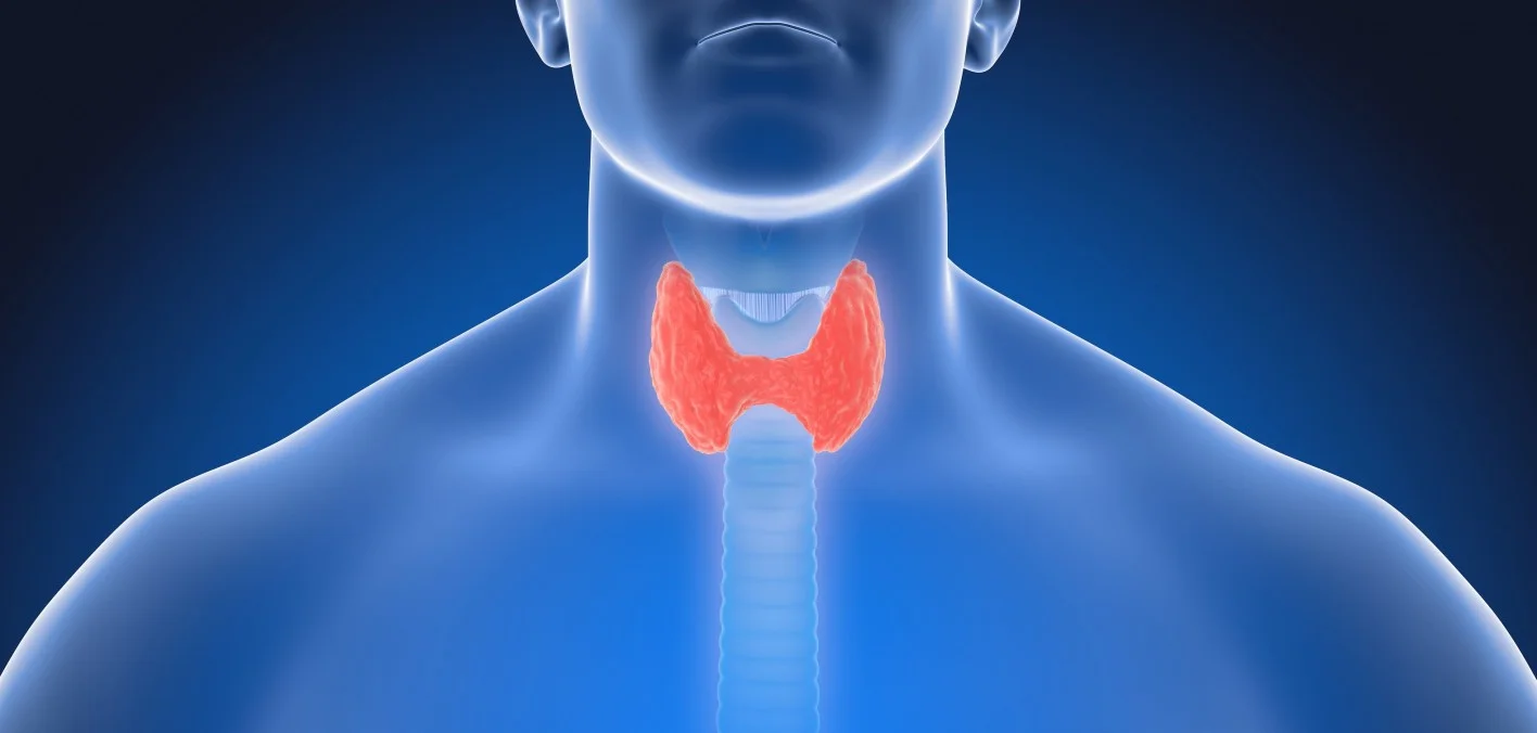 Thyroid Tests Overlooked in Fertility cases