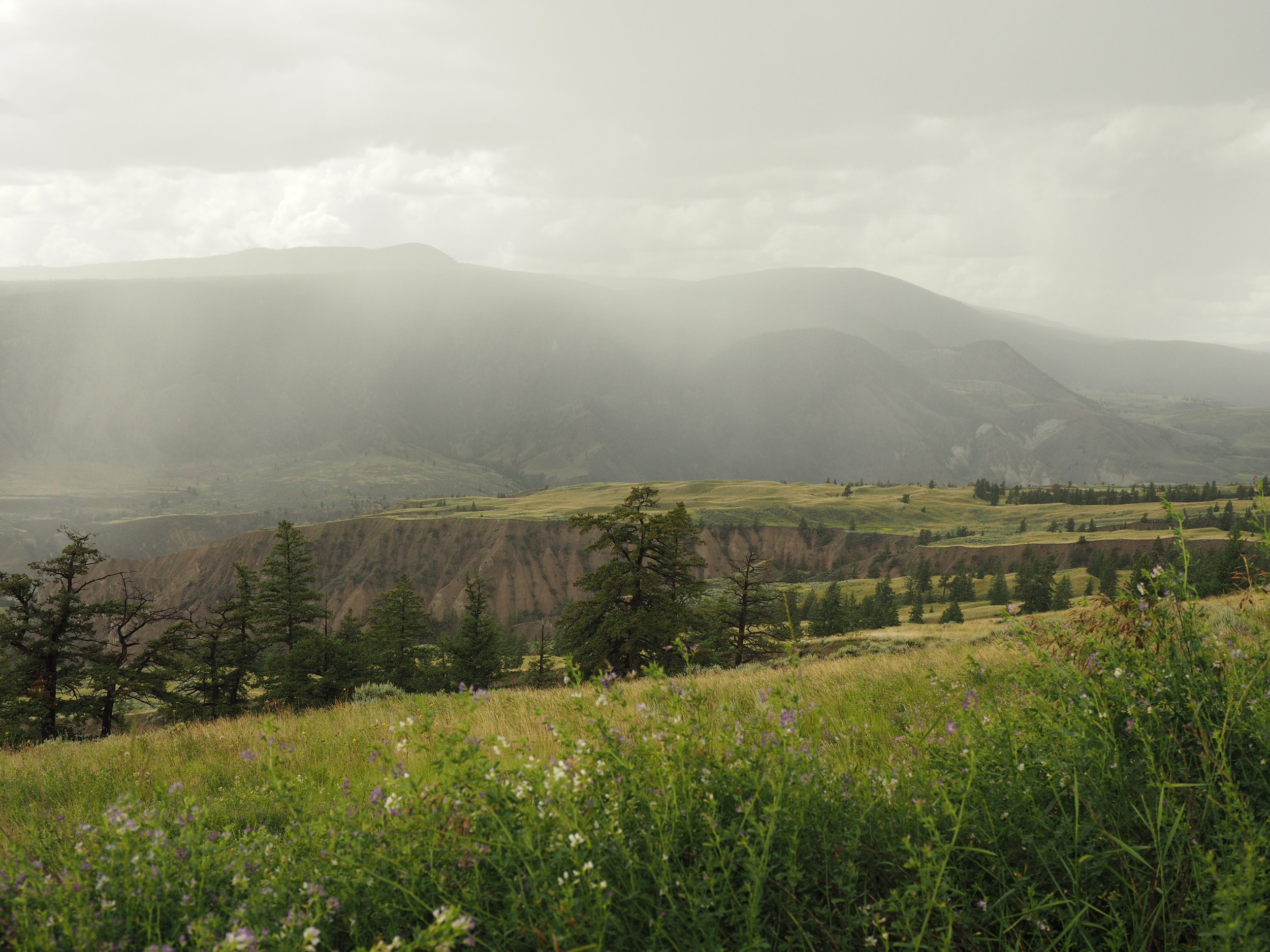 View of the Fraser Canyon