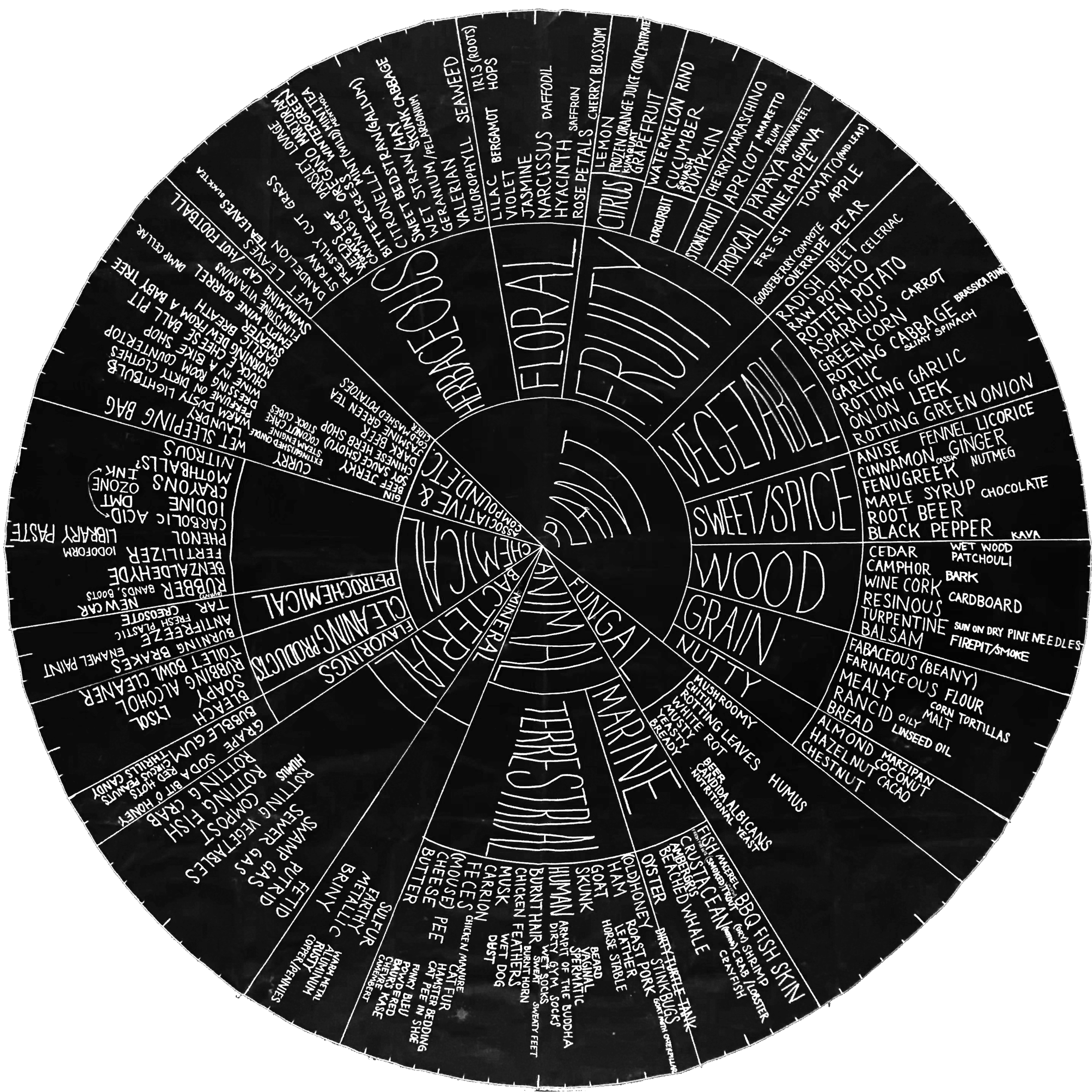 Mushroom Smelling Wheel © Willoughby Arevalo and Isabelle Kirouac