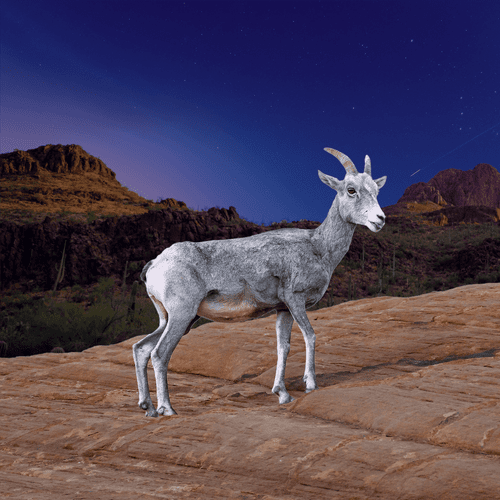 Collage of images by Sonder Quest, Frankie Lopez, and Ganapathy Kumar