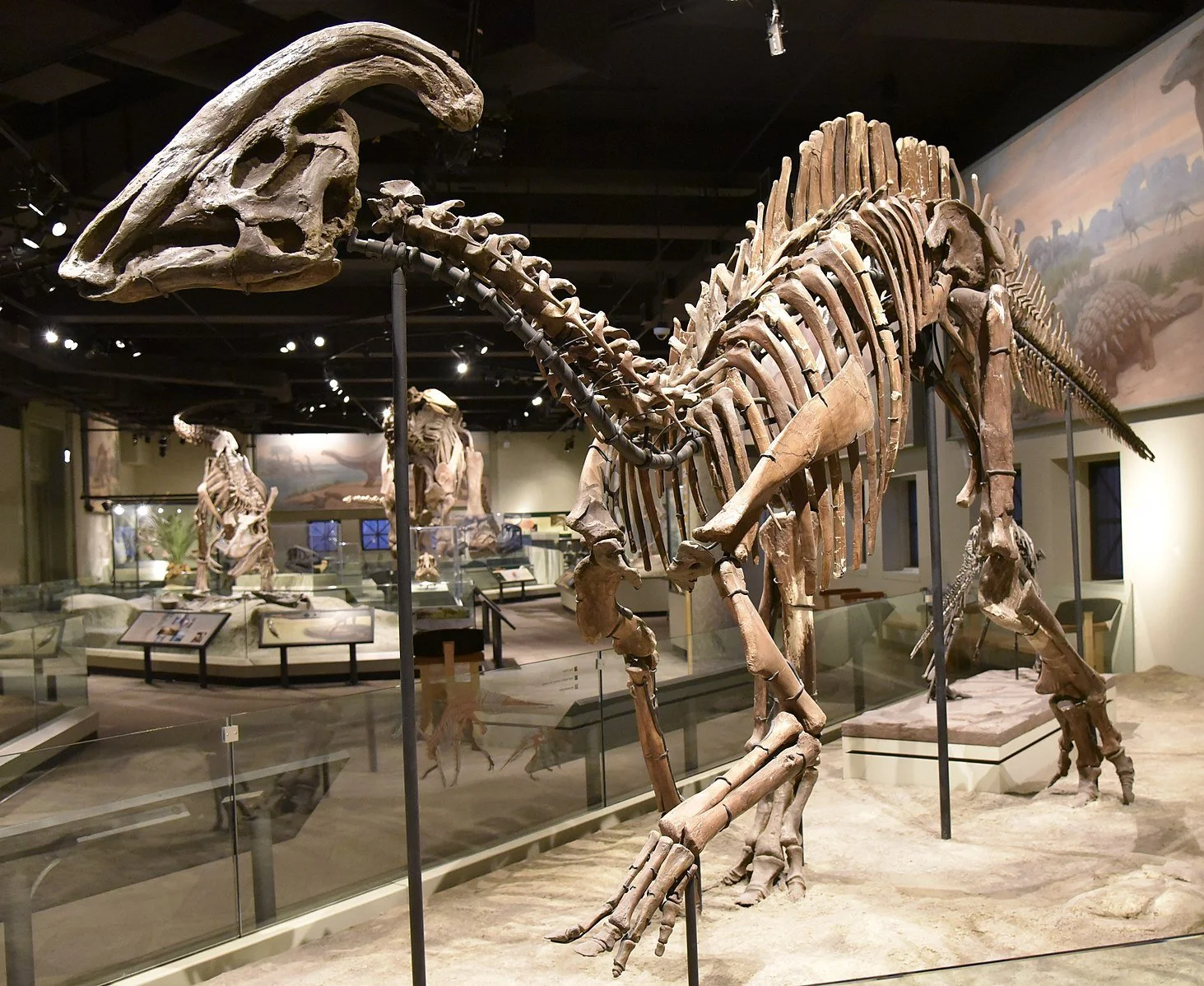 Jonathan Kawchuk on paleo-acoustics and preserving sonic spaces