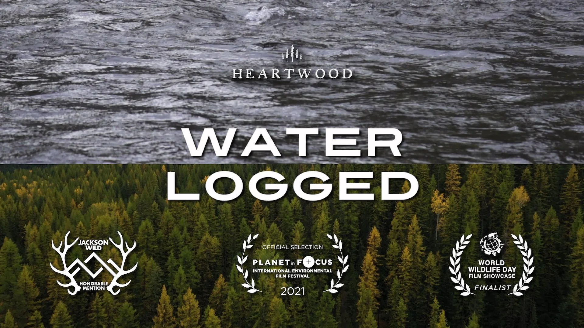 Dan Pierce on Industrial Forestry and Floods