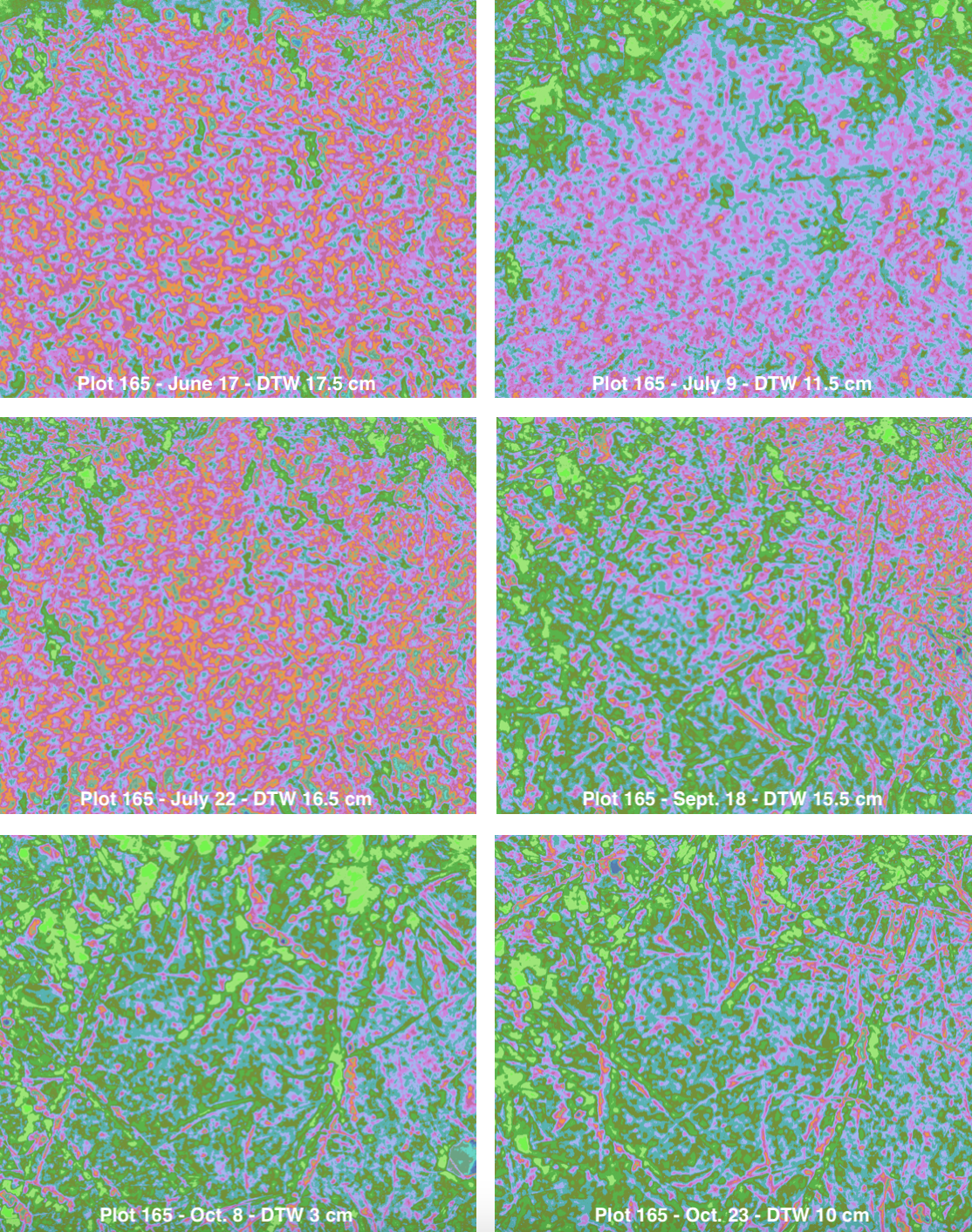  An example of spectral analysis of the bog (Drew Elves, 2025) 
