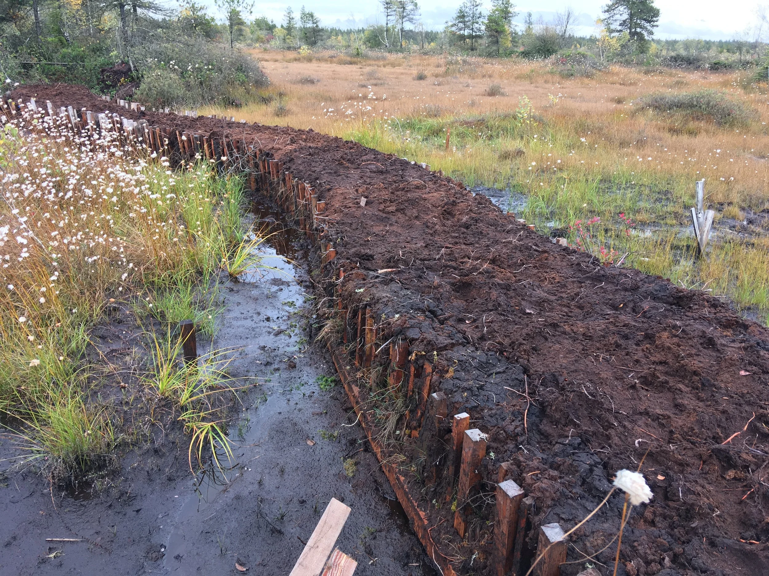  Ditch dam (Sarah Howie) 