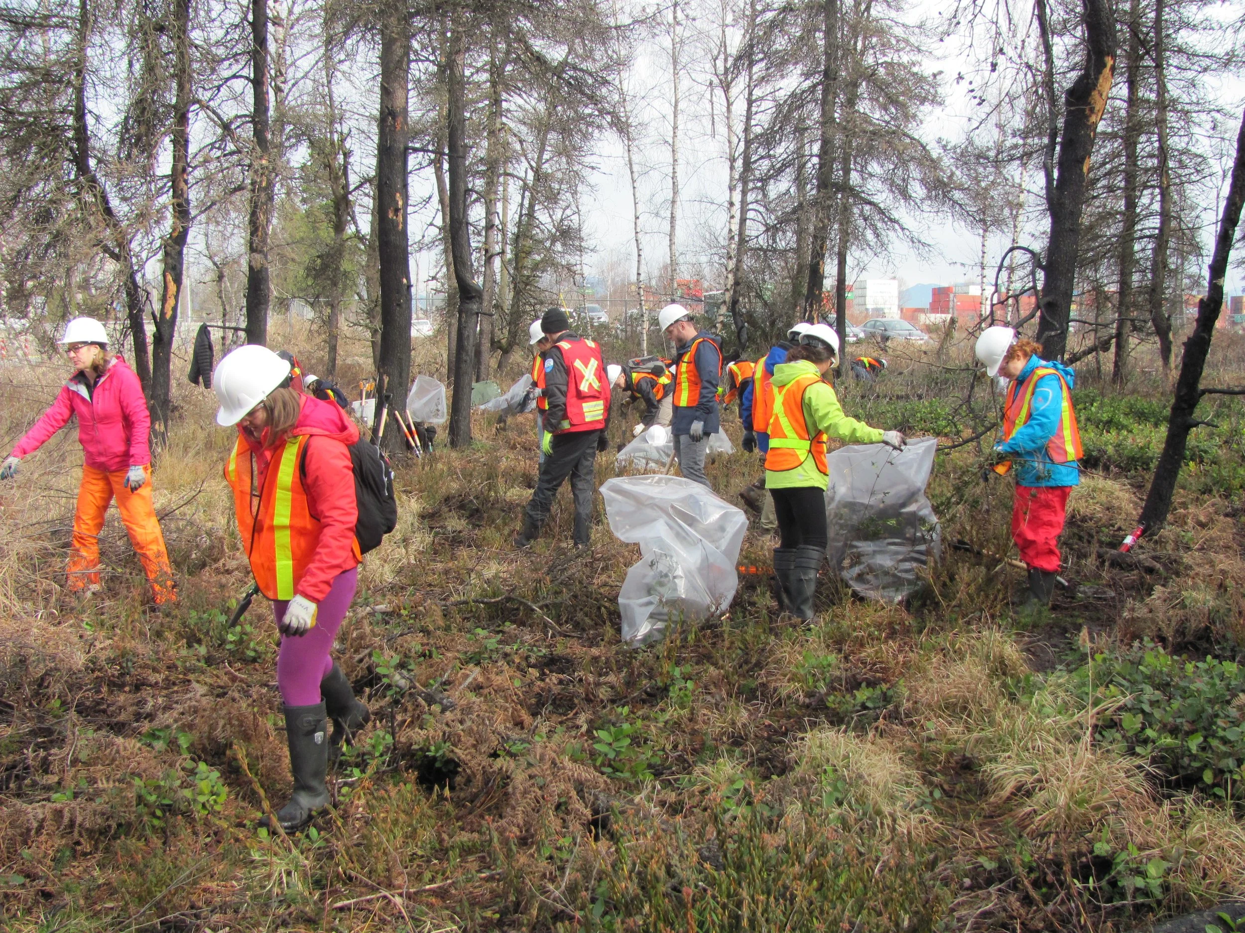  Bog restoration volunteers (Sarah Howie) 