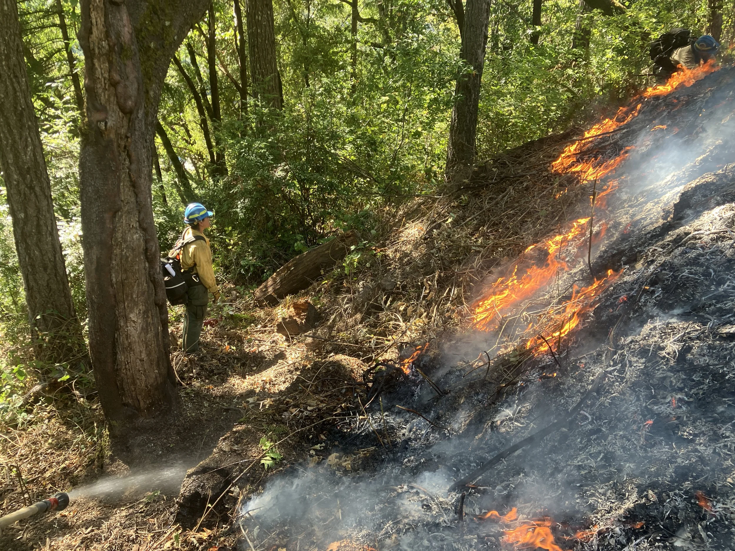  The green (left), and the black (right) 
