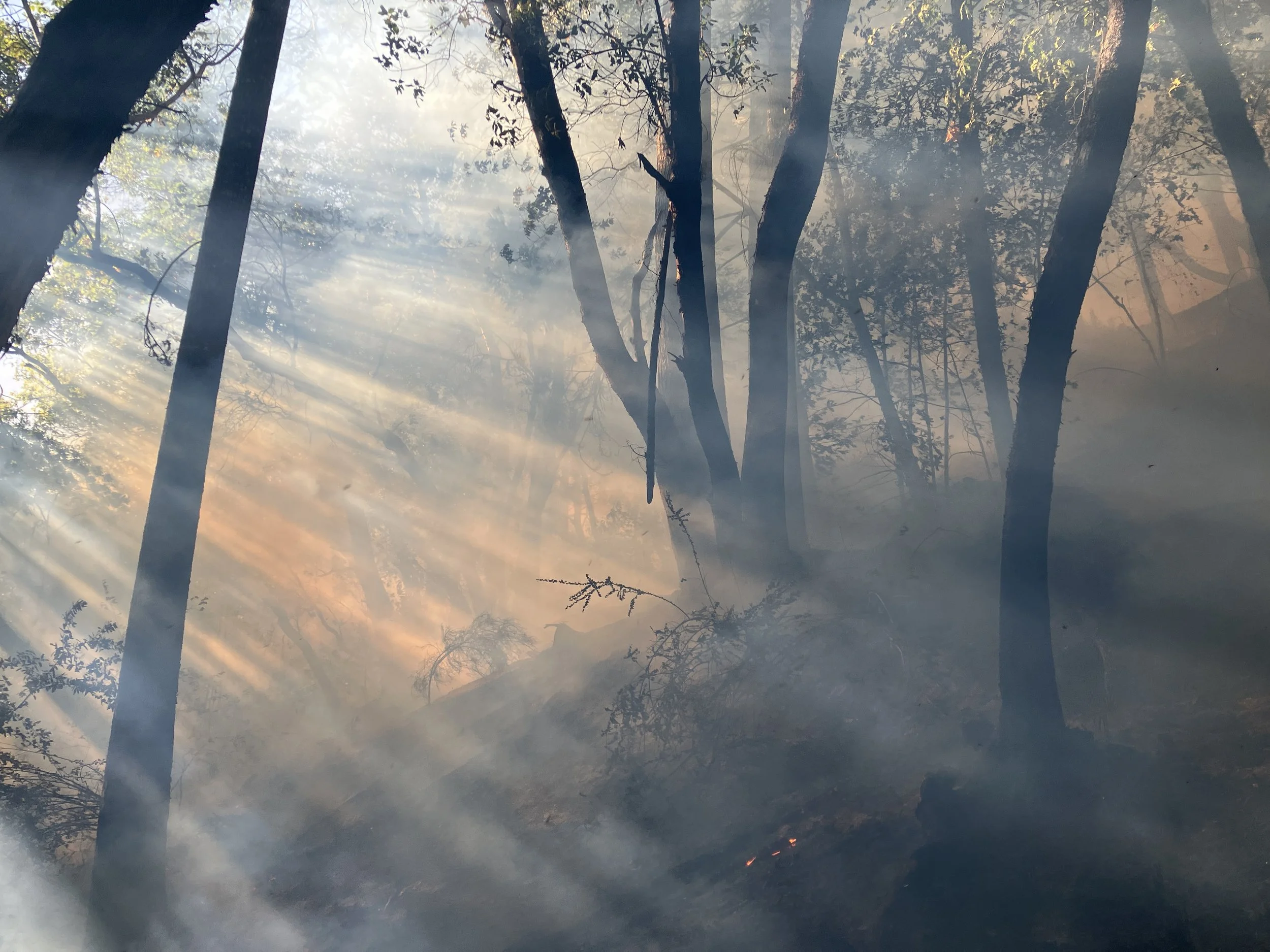  ...and neither is the smoke! 