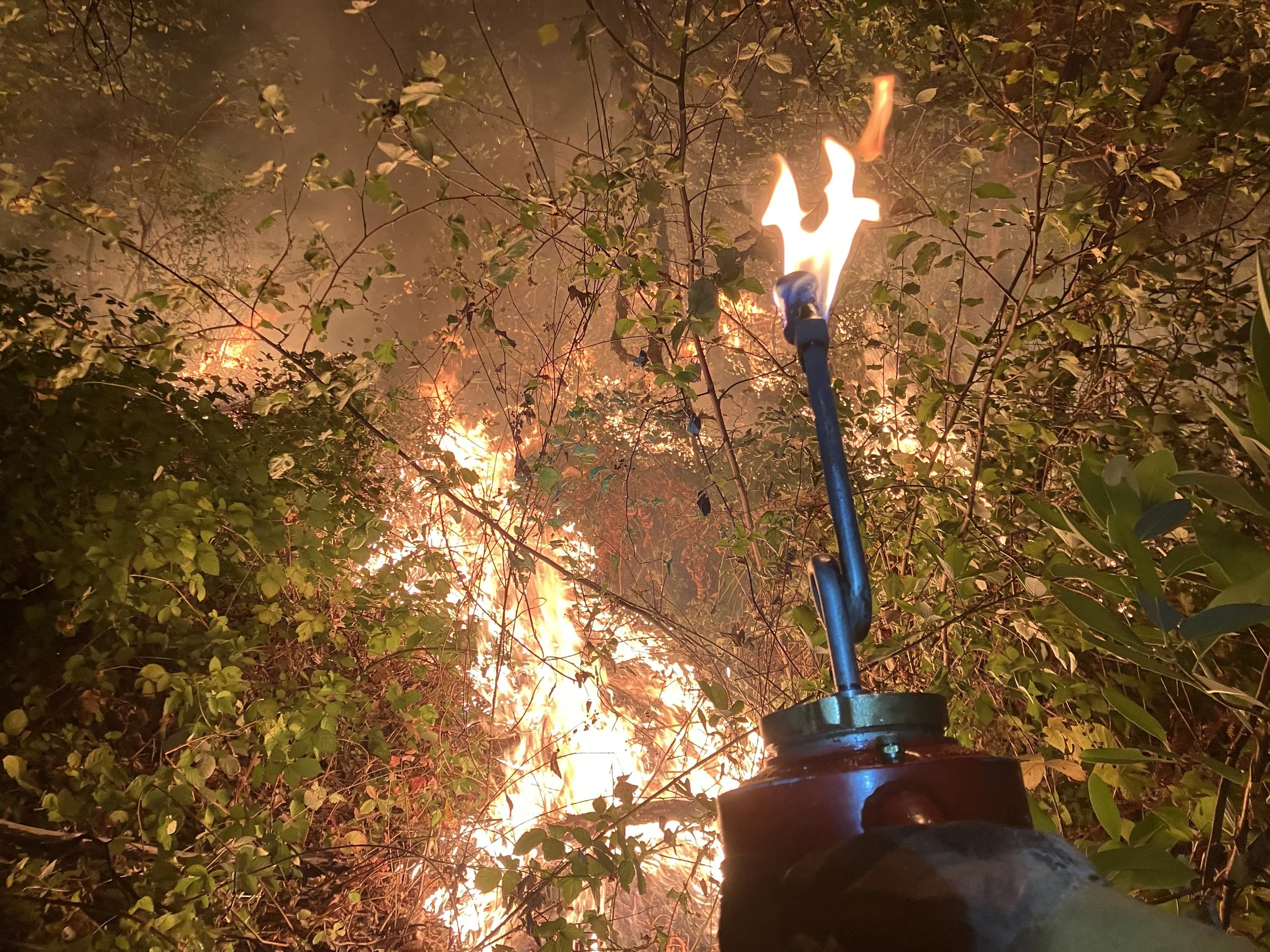  Driptorch POV — the Firing crew's job is to light it up 