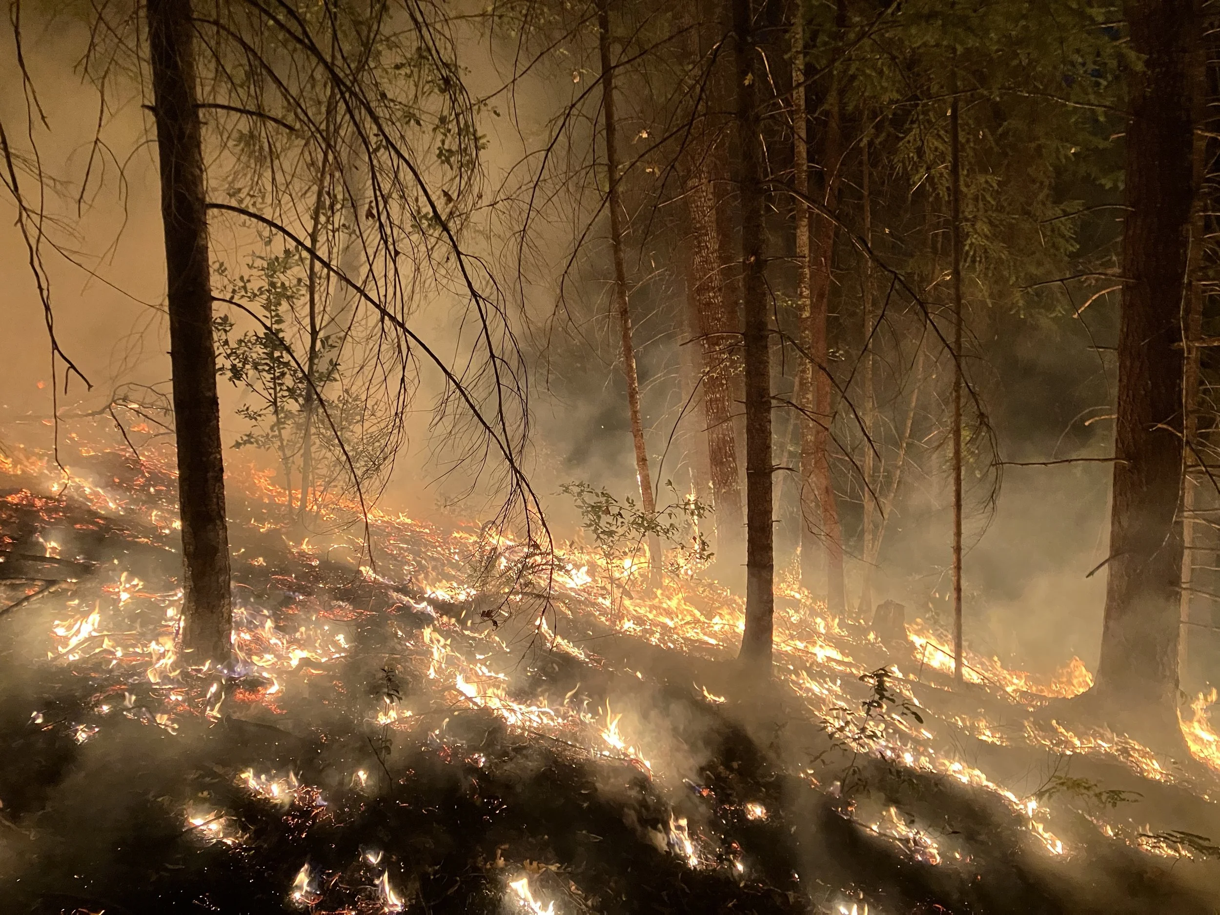  The beauty of an evening burn 