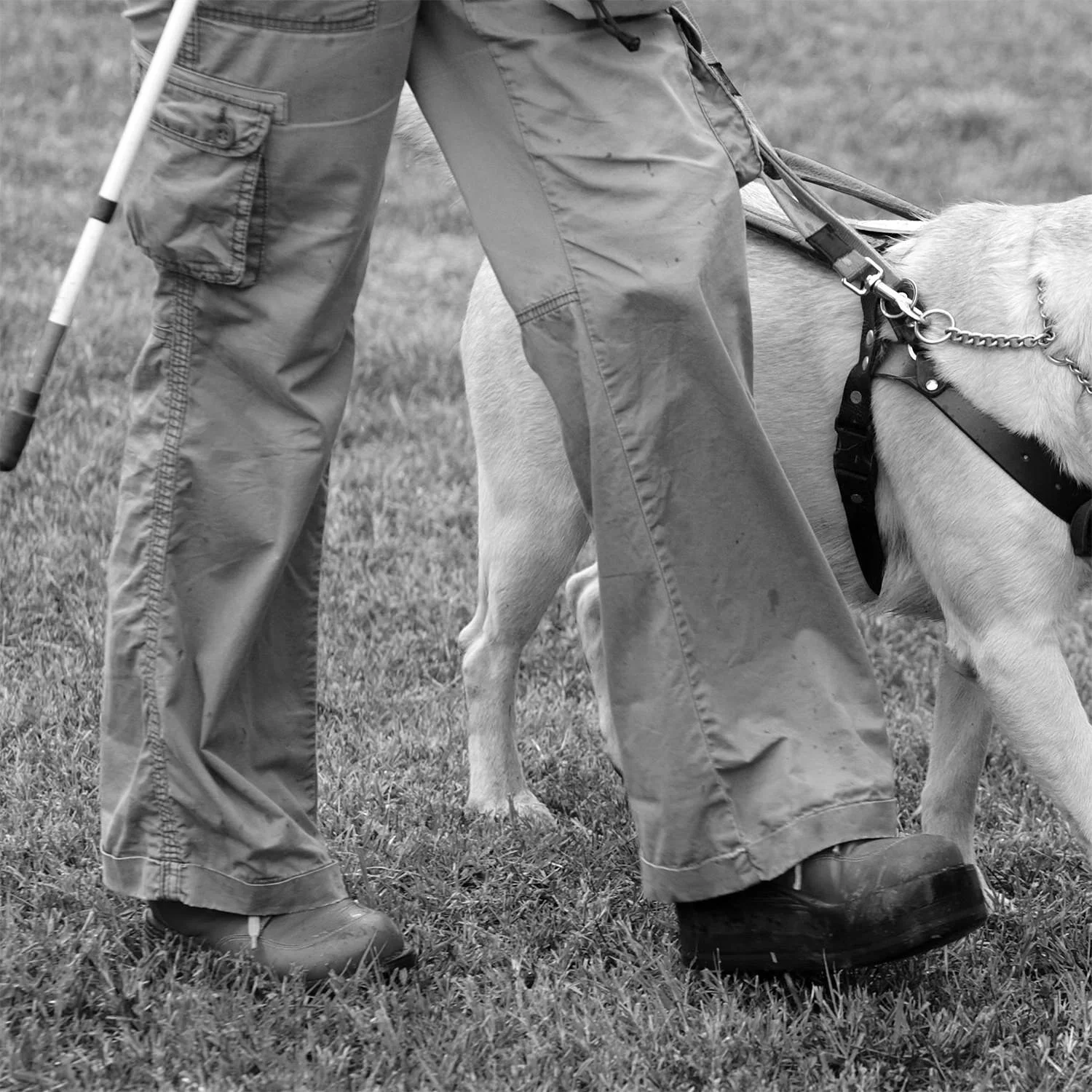 walking-with-guide-dog.jpg