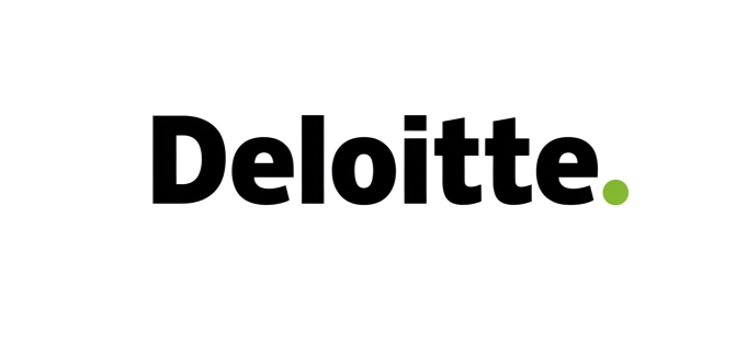 deloitte3.png