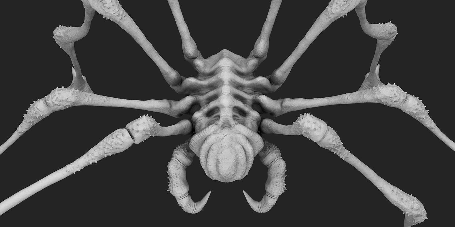 Spider_v004.104.jpg