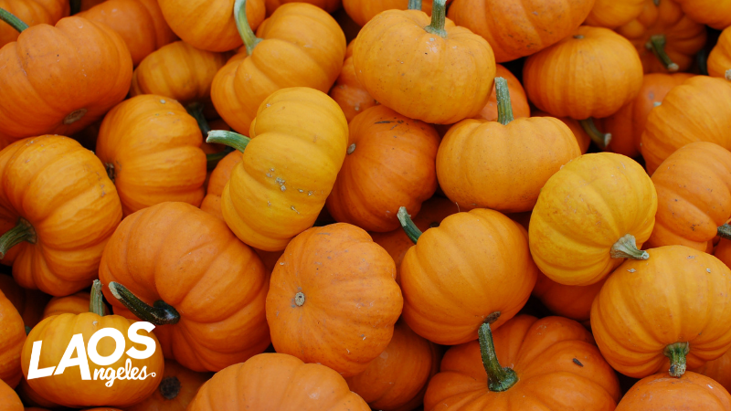 10.22.21 - 10.28.21