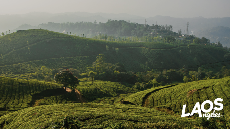10.18.22 - 11.03.22