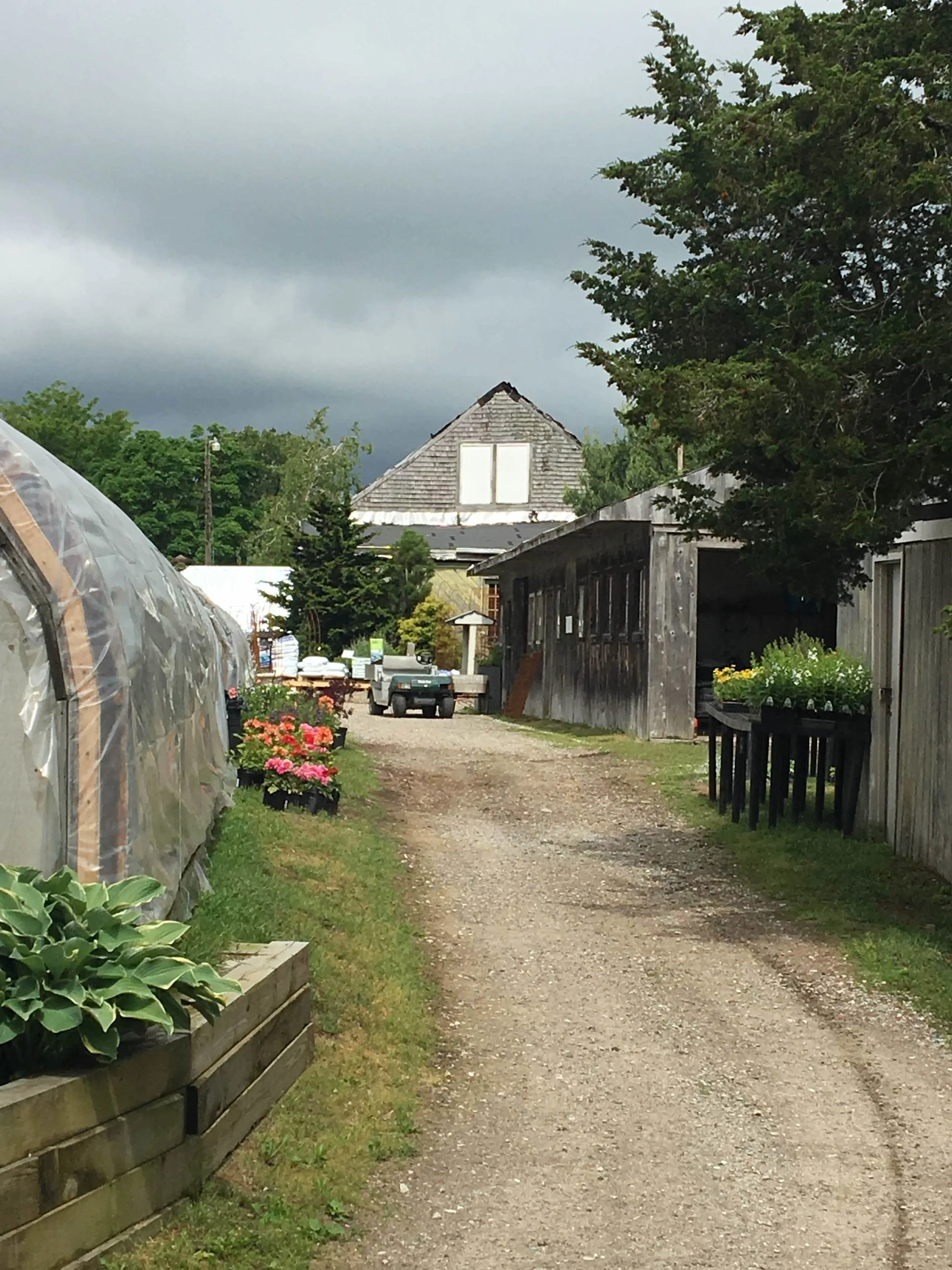 Scene from 4th class at Pettengill Farm, Salisbury, MA