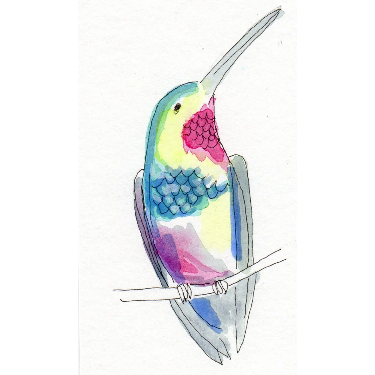 Hummingbird ©JuliaBethmann2018