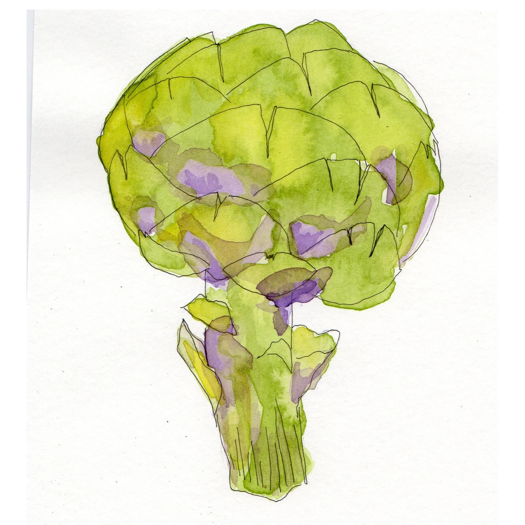 C_JBETHMANN_Artichoke.jpg